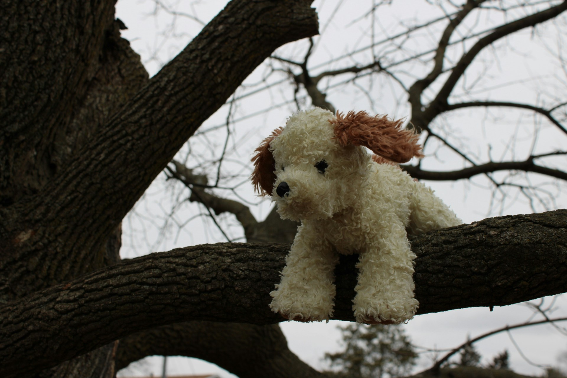 Go to Neph DM's profile