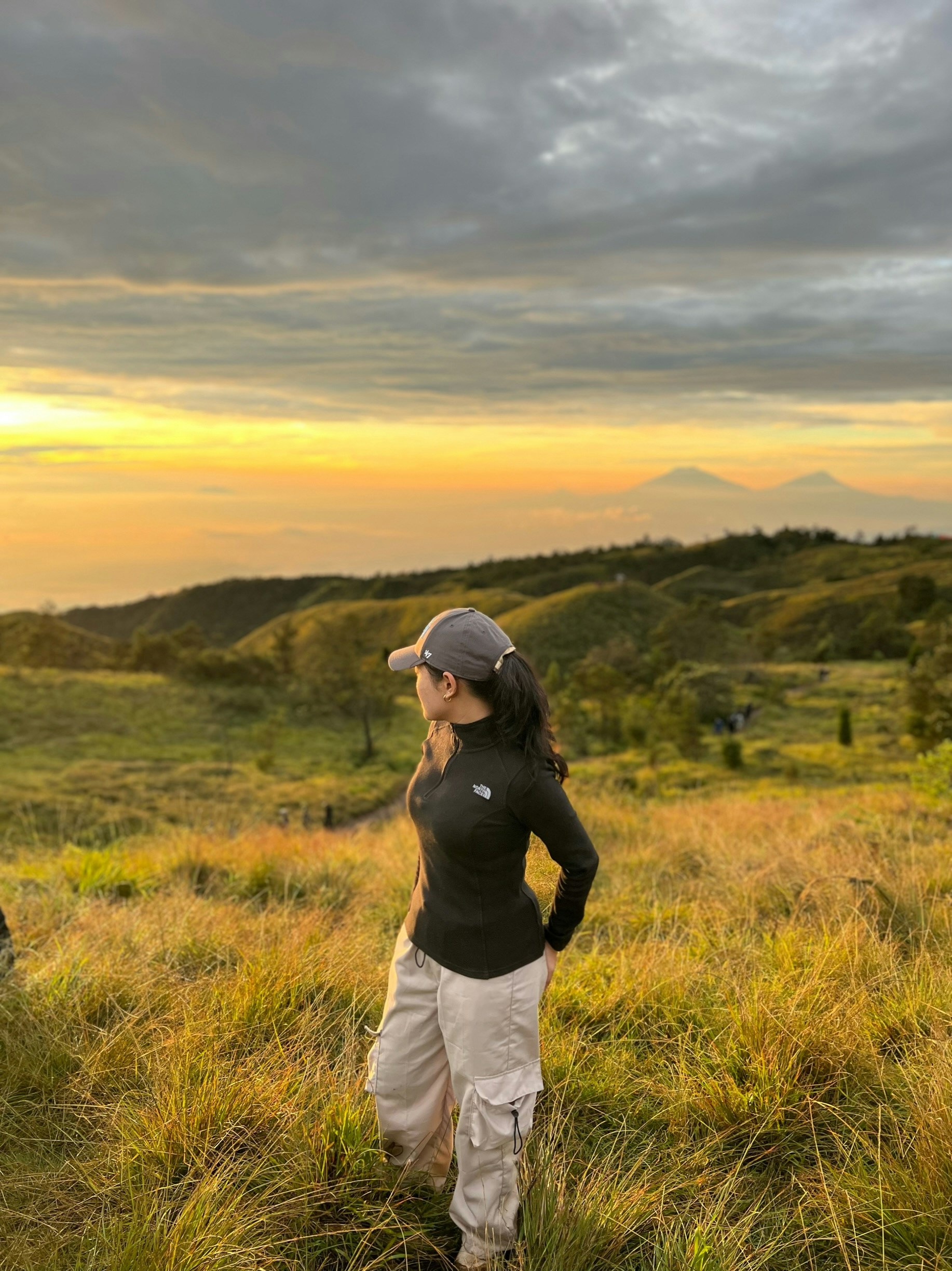 Go to Andrea Terra's profile