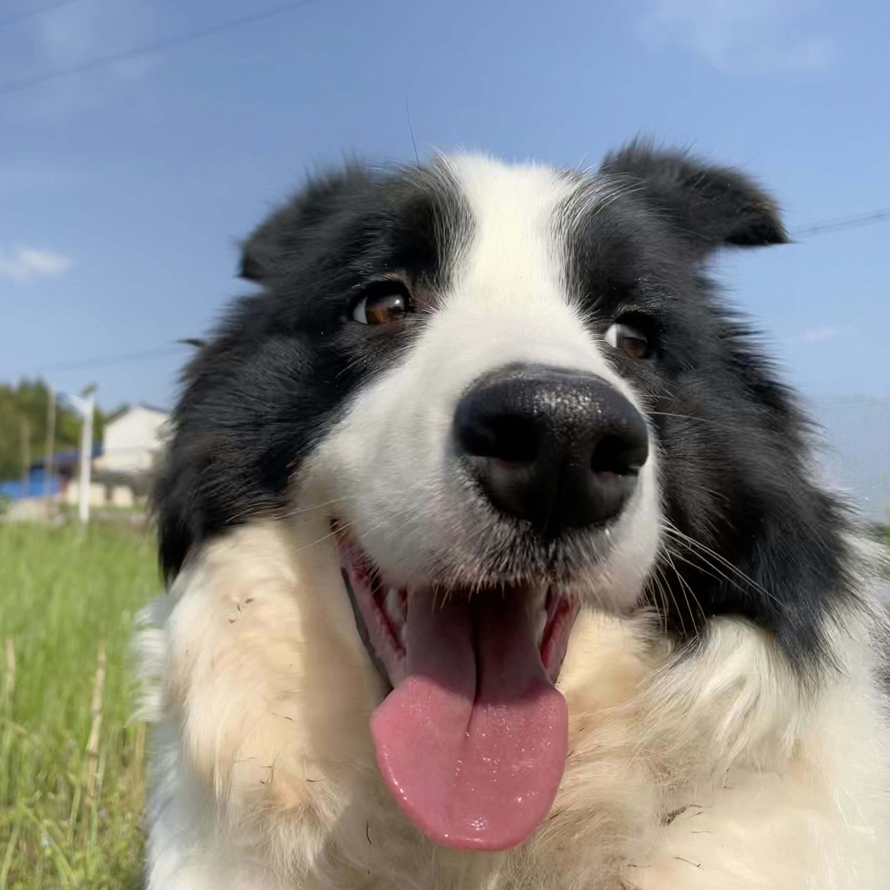 Go to XiMi DaMi's profile