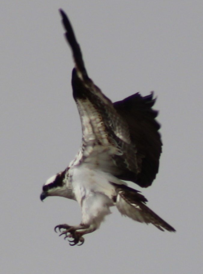 Go to Keith Schricker's profile