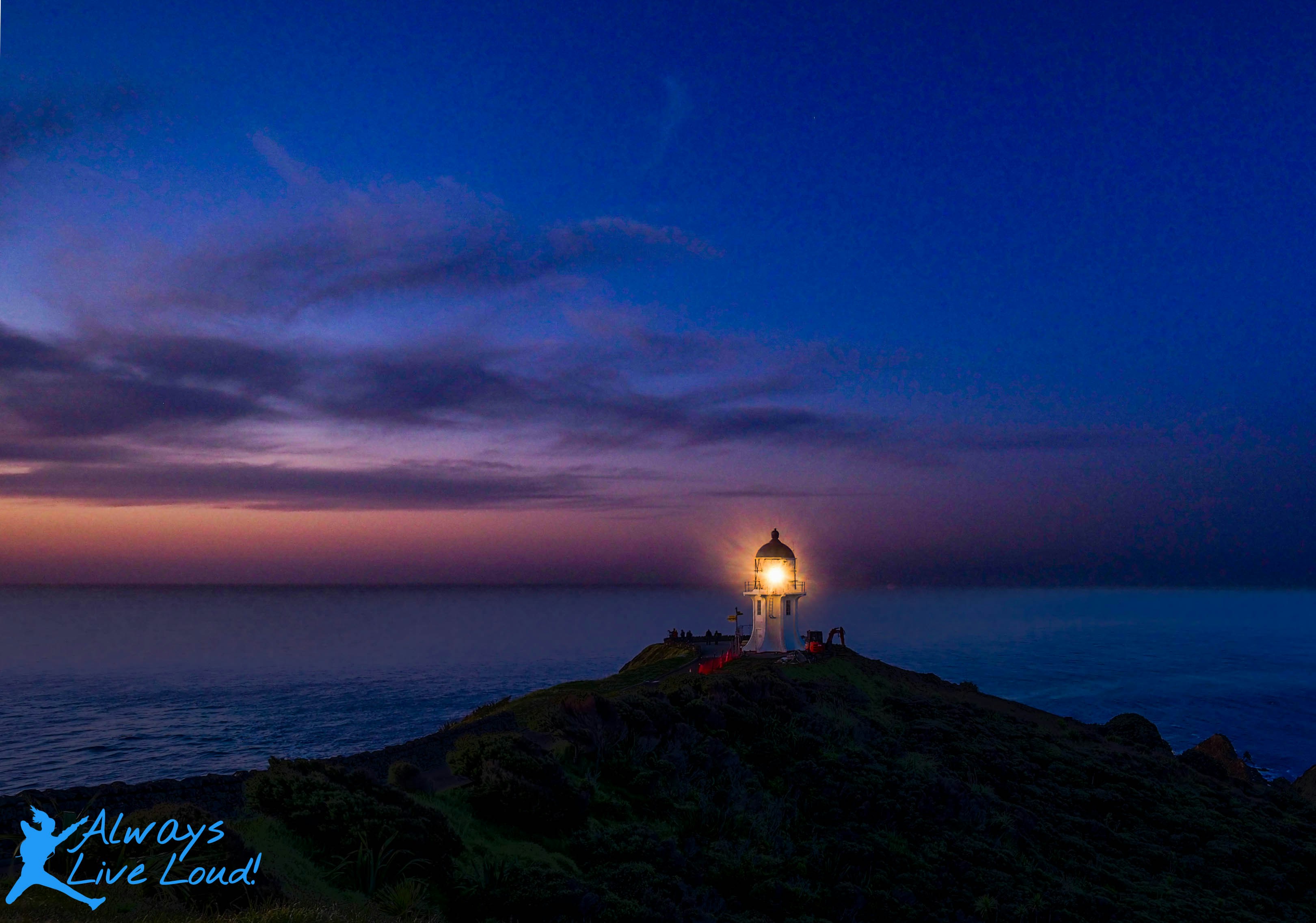 Go to Adele Erolsky's profile