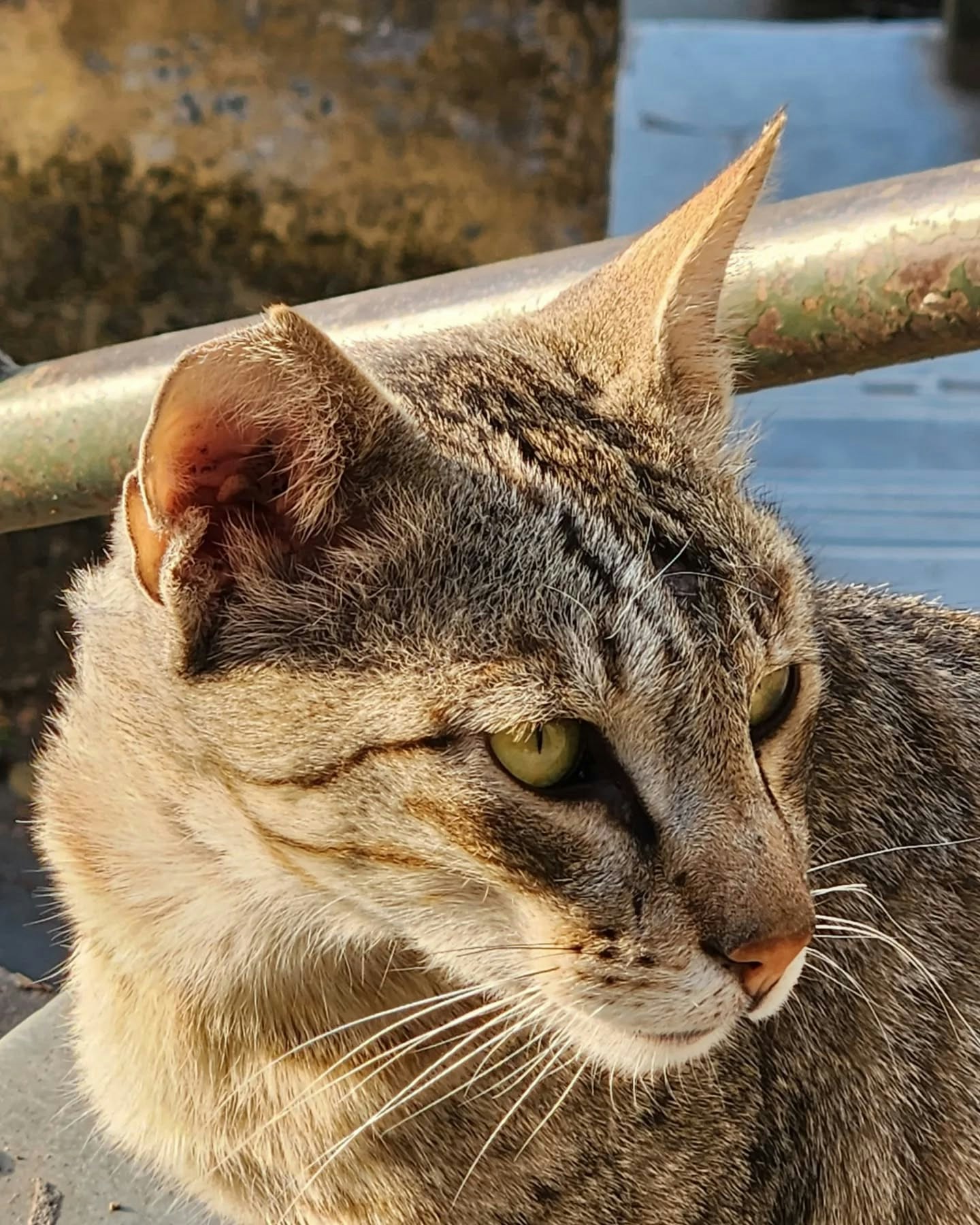 Go to Vinay's profile