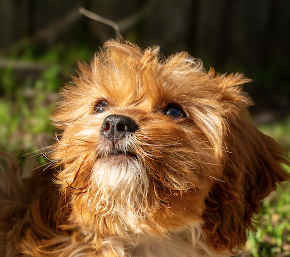 Go to Dean McQuade's profile