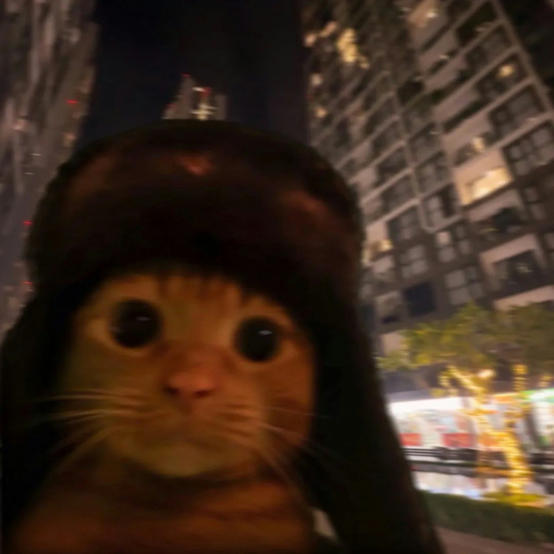 Go to anh quoc's profile