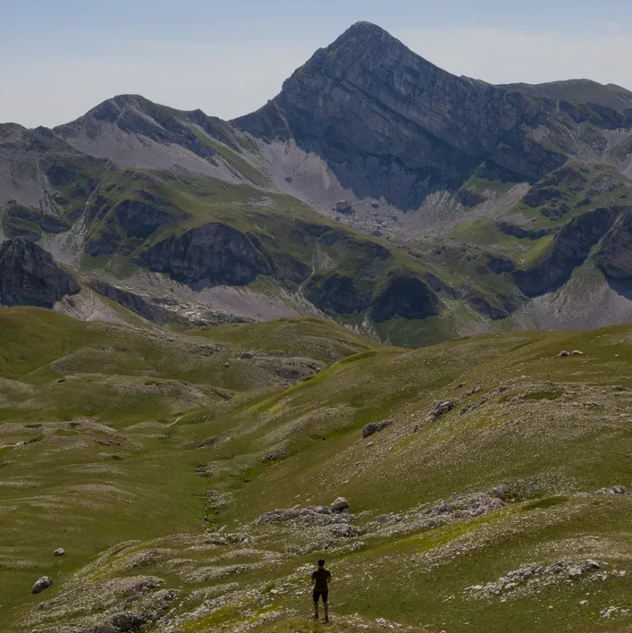 Go to Giordano Petraccaro's profile