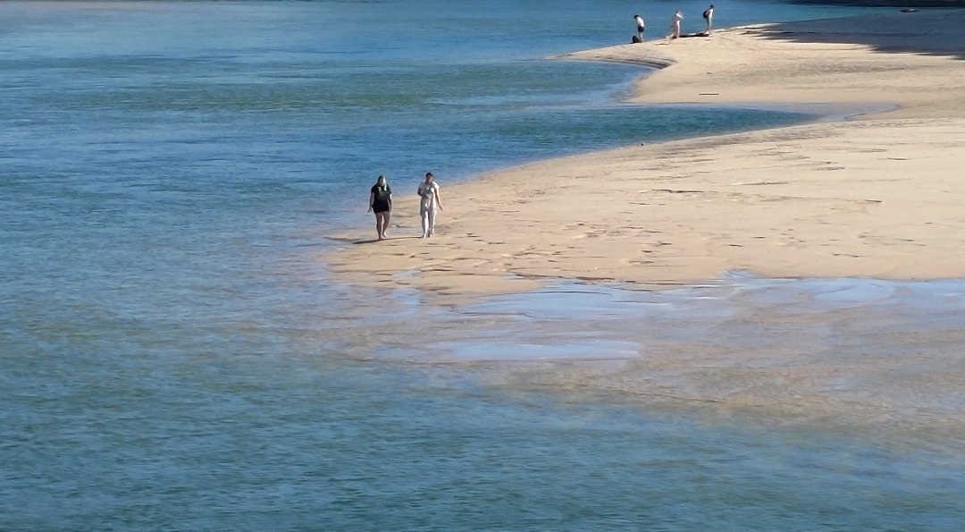 Beverly Linのプロフィールを見る