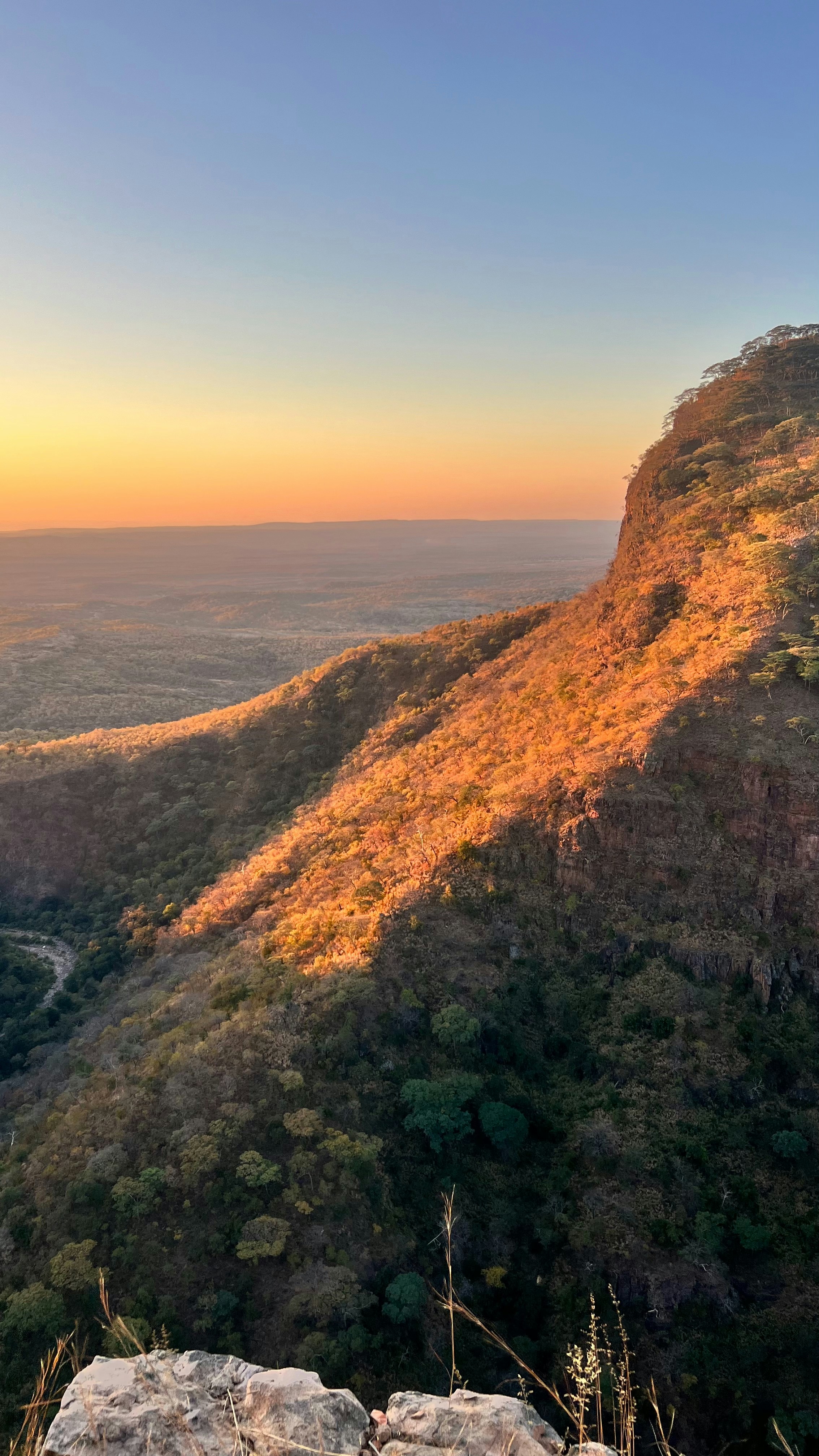 Avatar of user Gerhard Venter