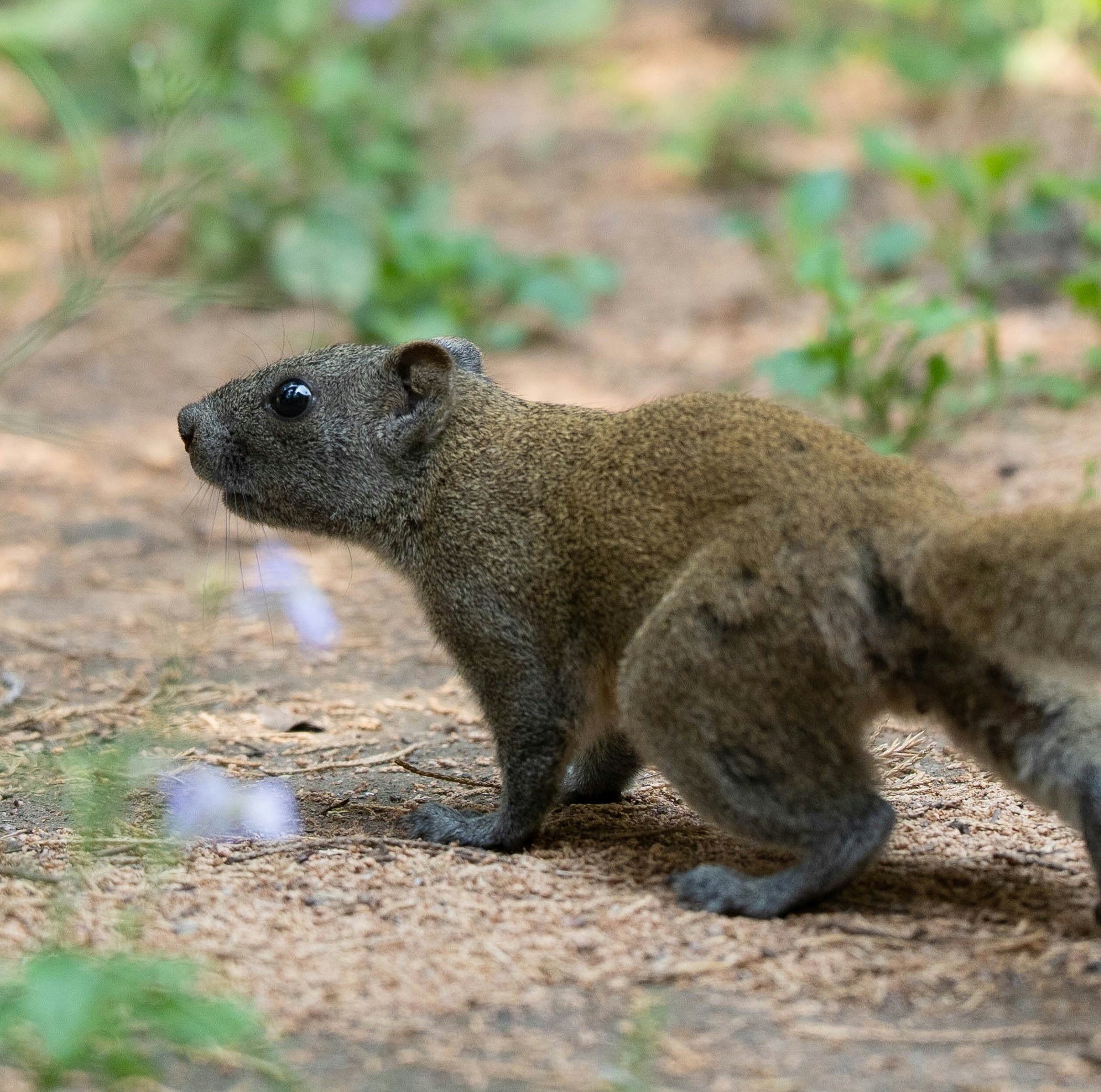 Go to Jens F's profile