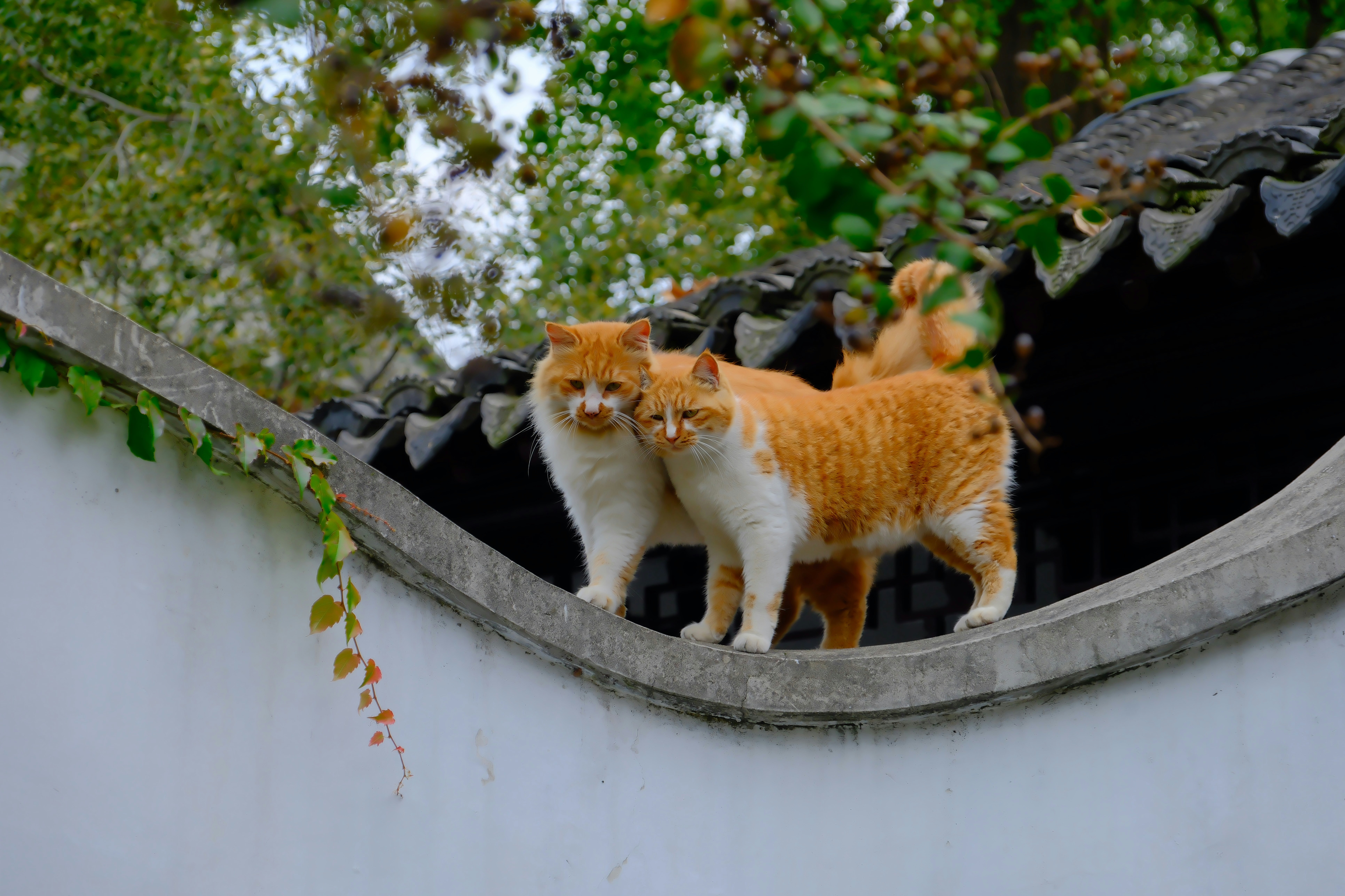 Zum Profil von Terence Zheng