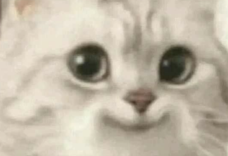 Accéder au profil de Raghav Verma