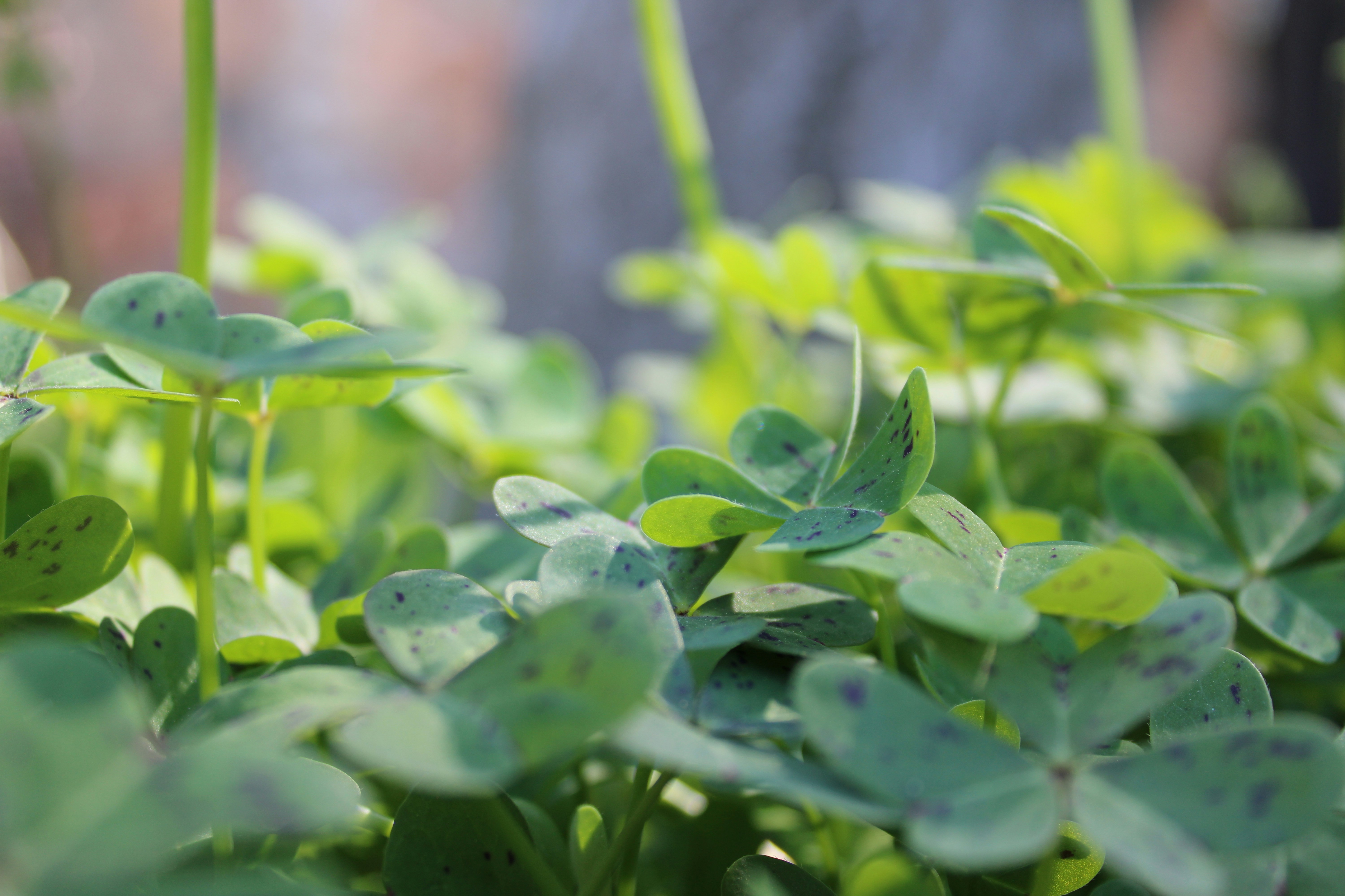 Go to Vivian Luciano's profile