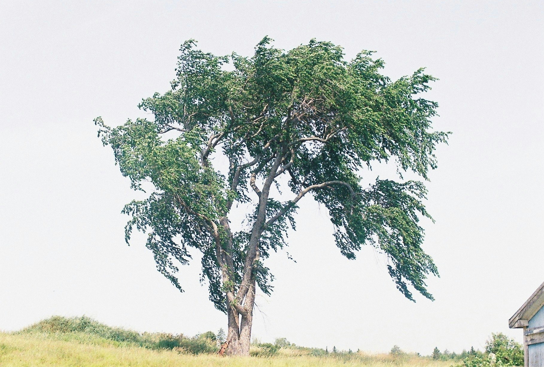 Go to dh foto's profile