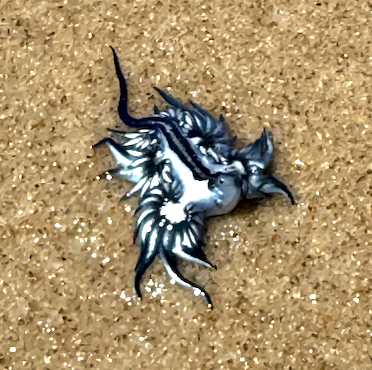 Go to Chomé's profile