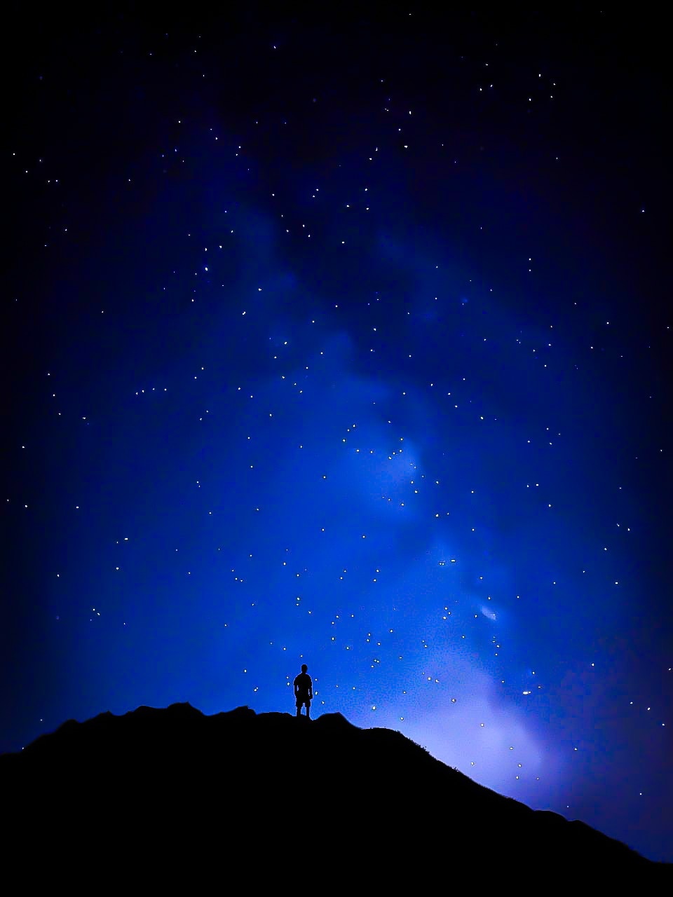 Go to Luca Magnani Capovani's profile