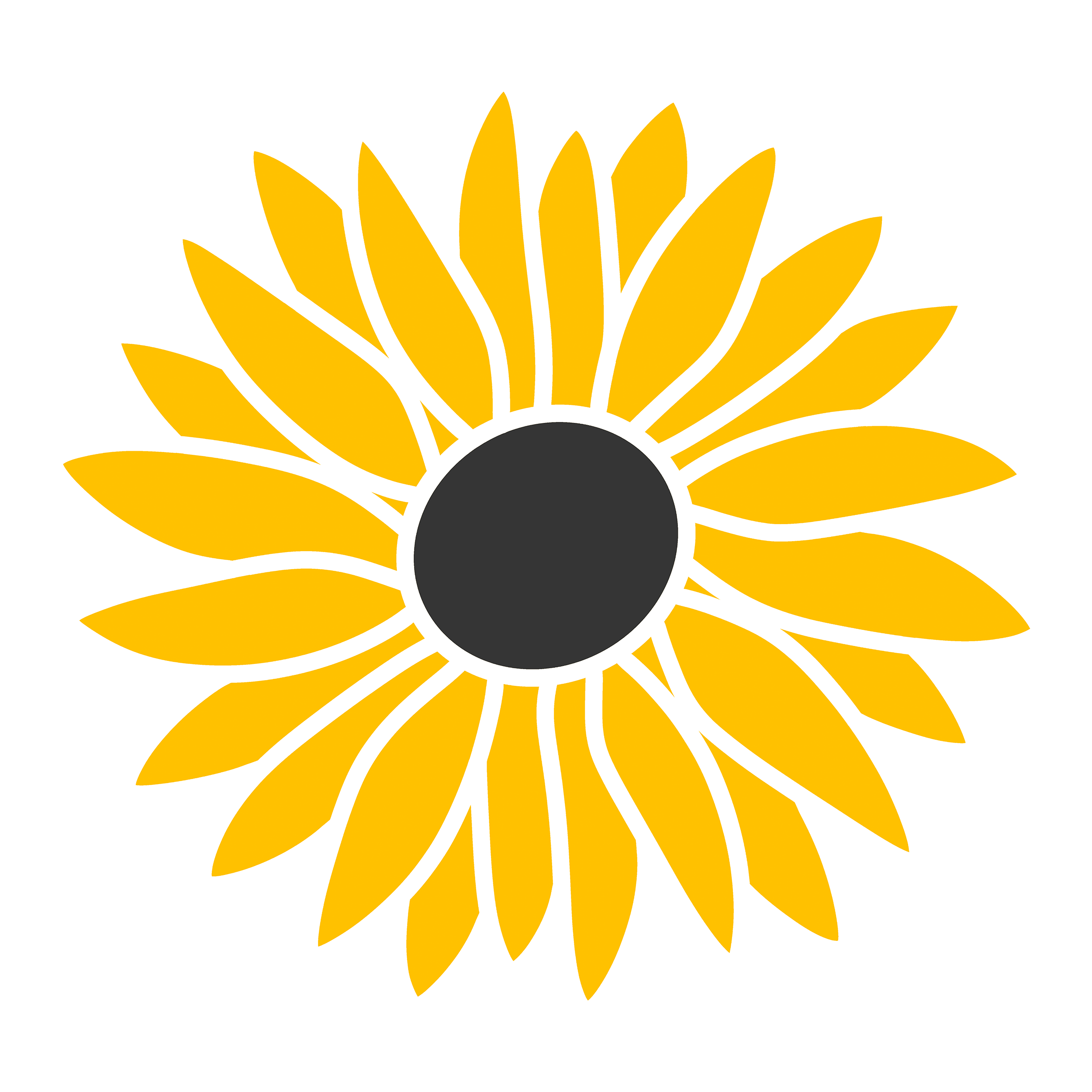 Go to Lucila Naves's profile