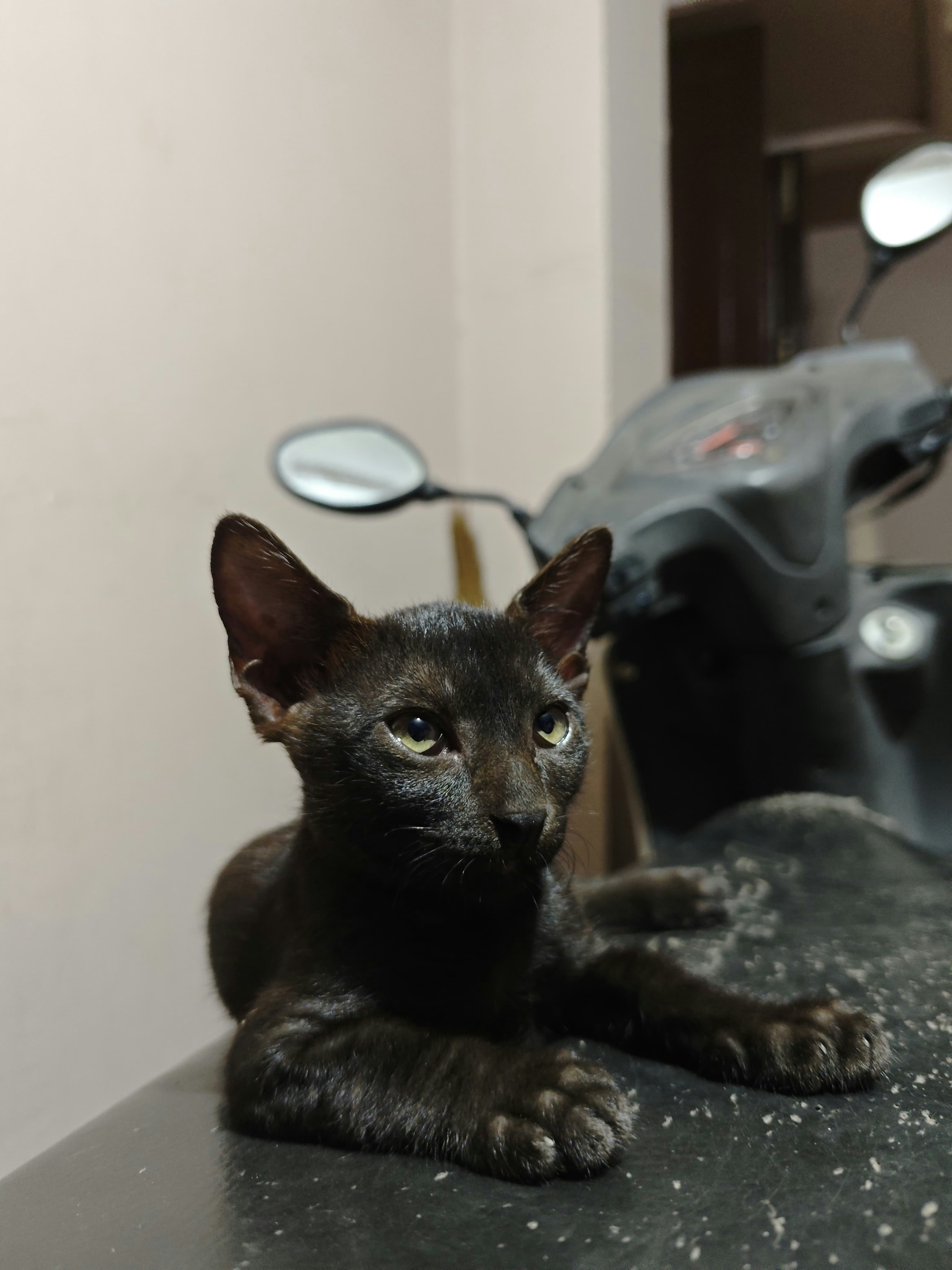 Go to Miom _0326's profile