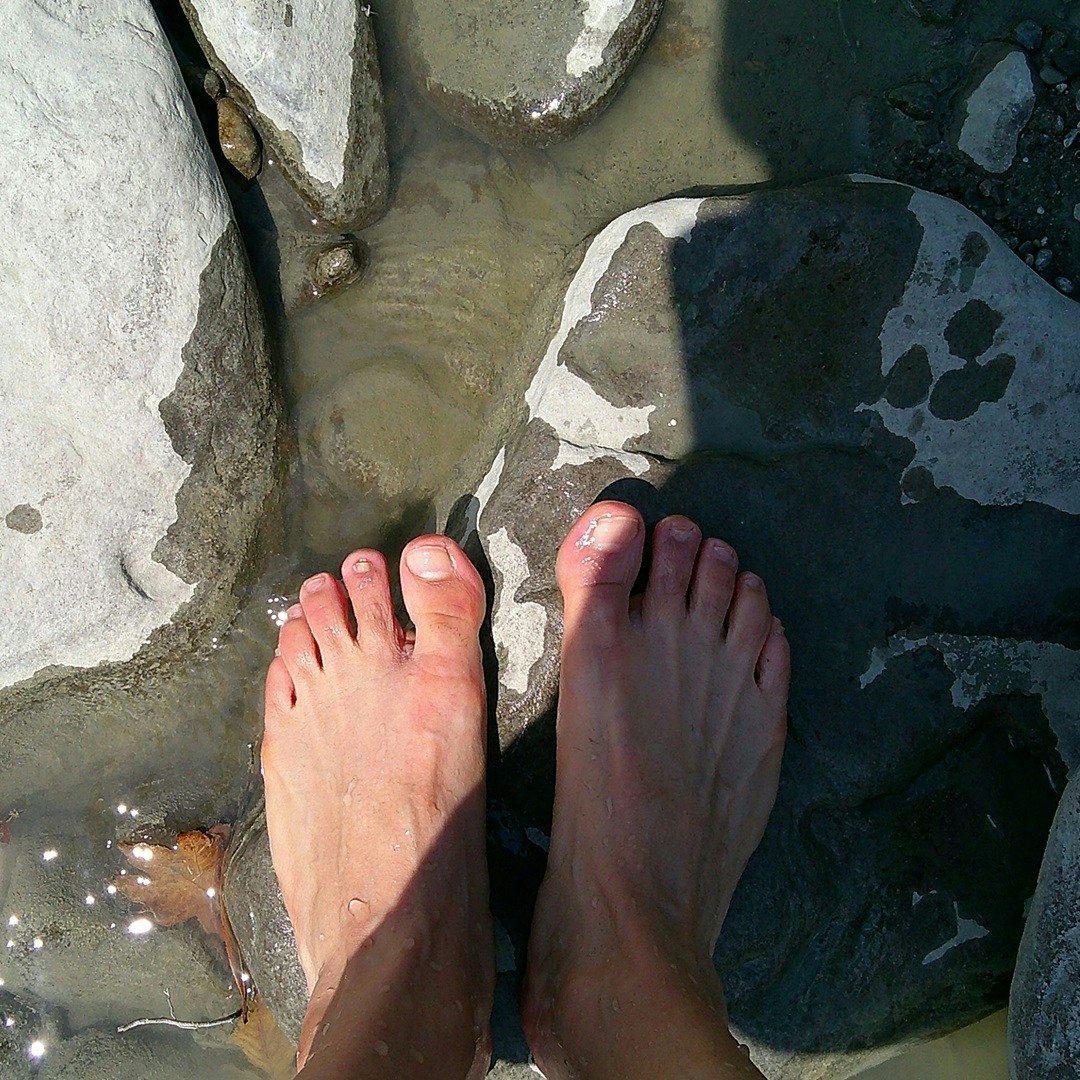 Go to Fli Hi's profile