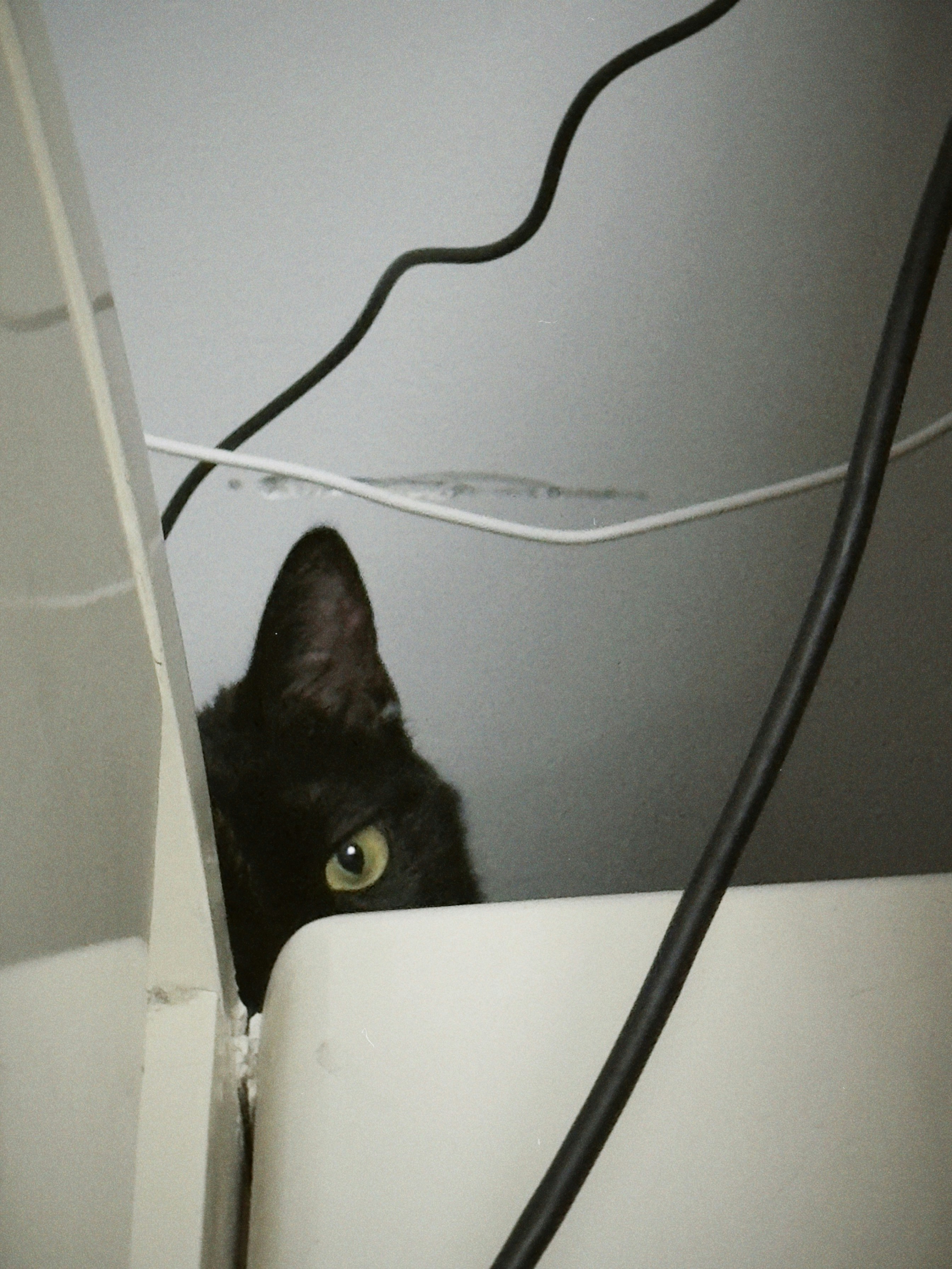 Go to Eva Chen's profile