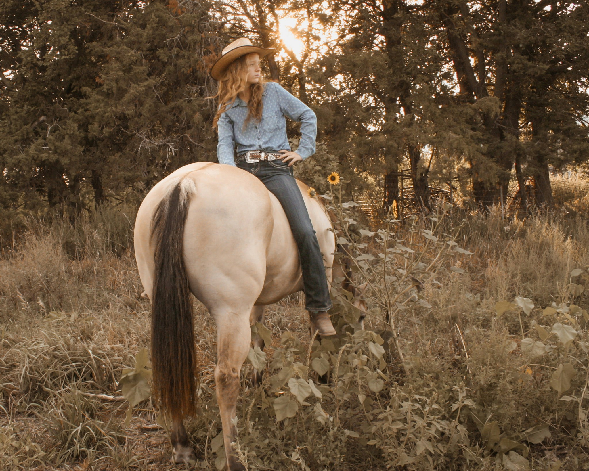 Go to Kailey Mentink's profile