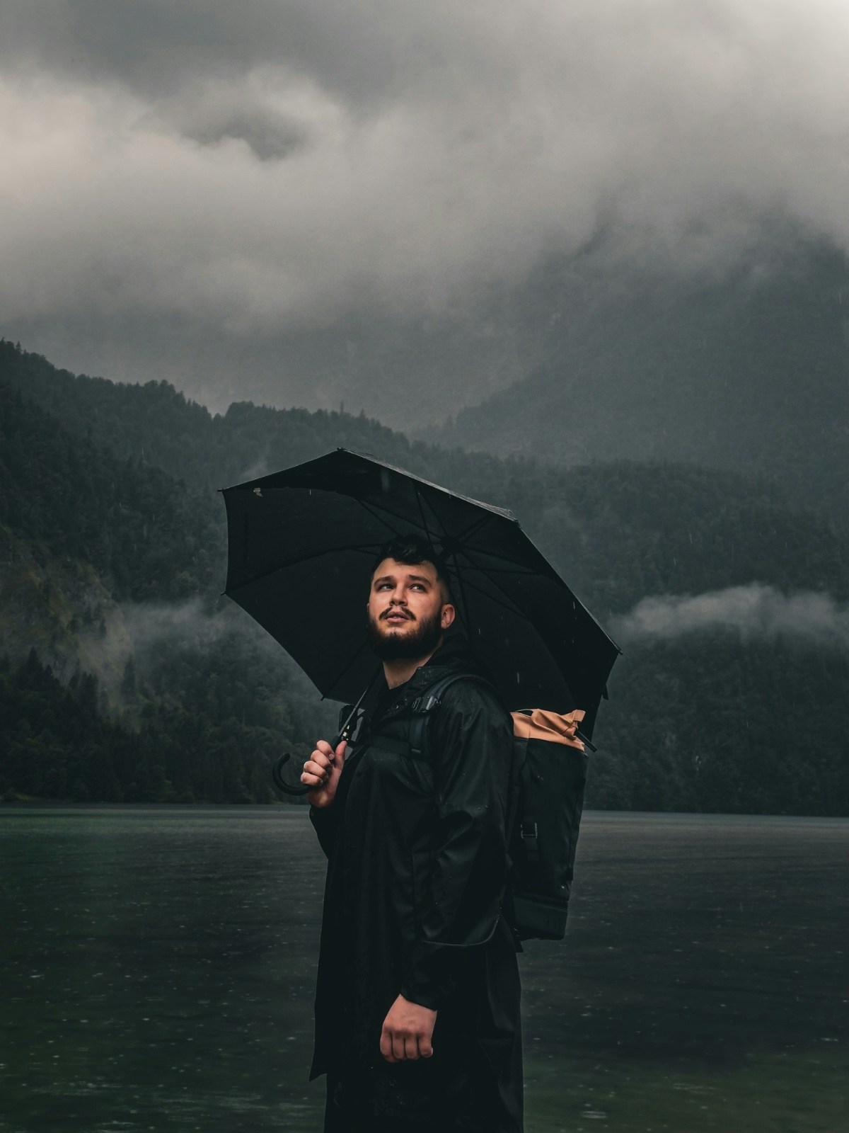 Go to Daniel Siebert's profile