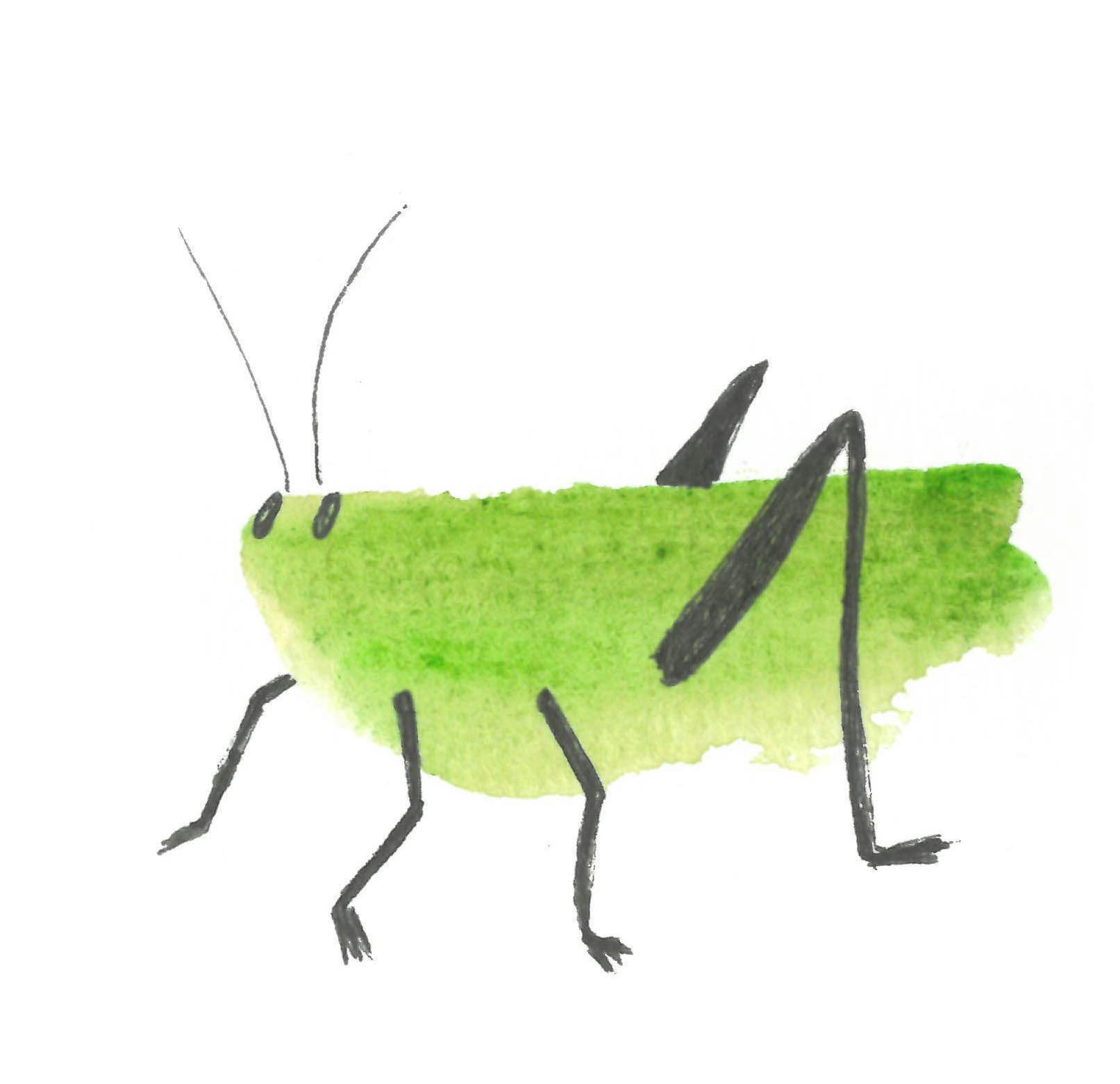 Emilia Croceのプロフィールを見る