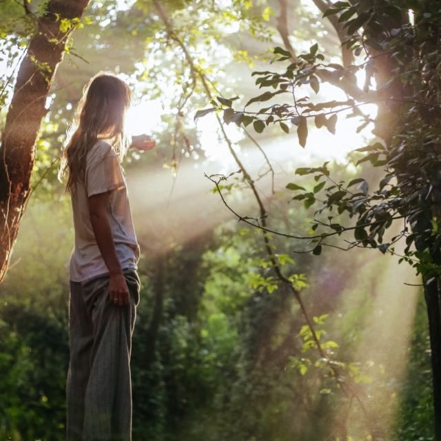 rosario janzaのプロフィールを見る