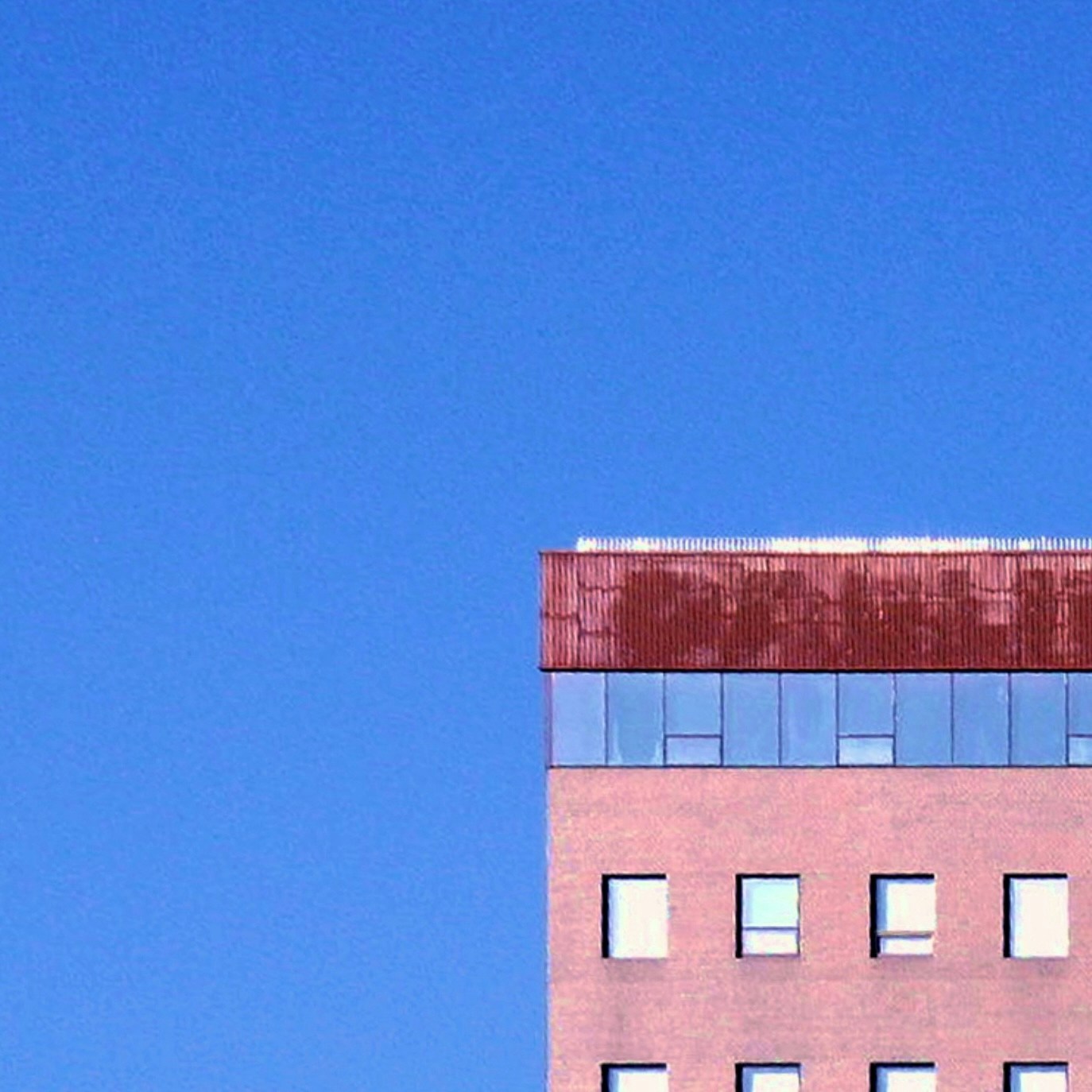 Ve al perfil de am g