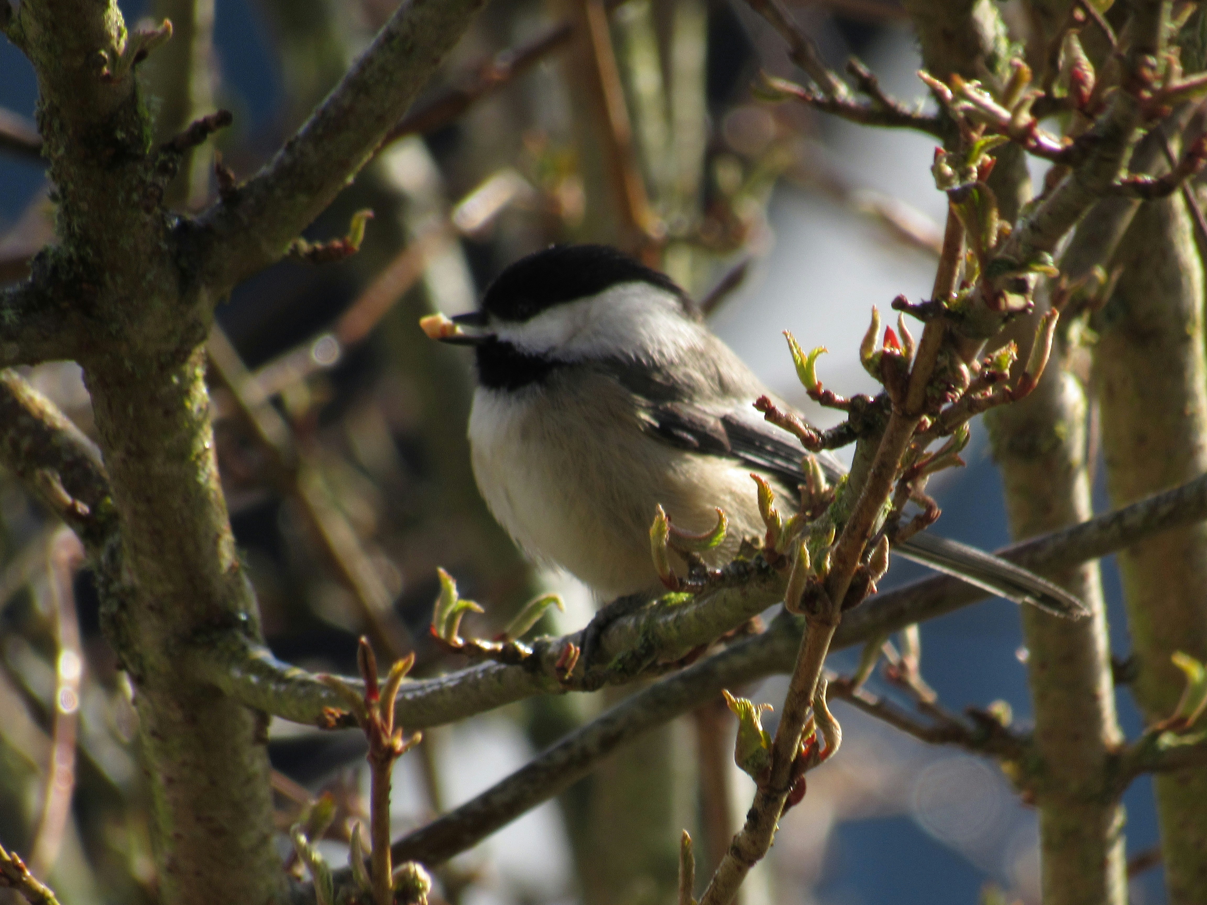 Go to Kinsley Homer's profile