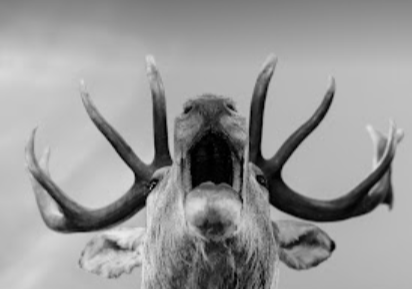 Go to balint henter's profile