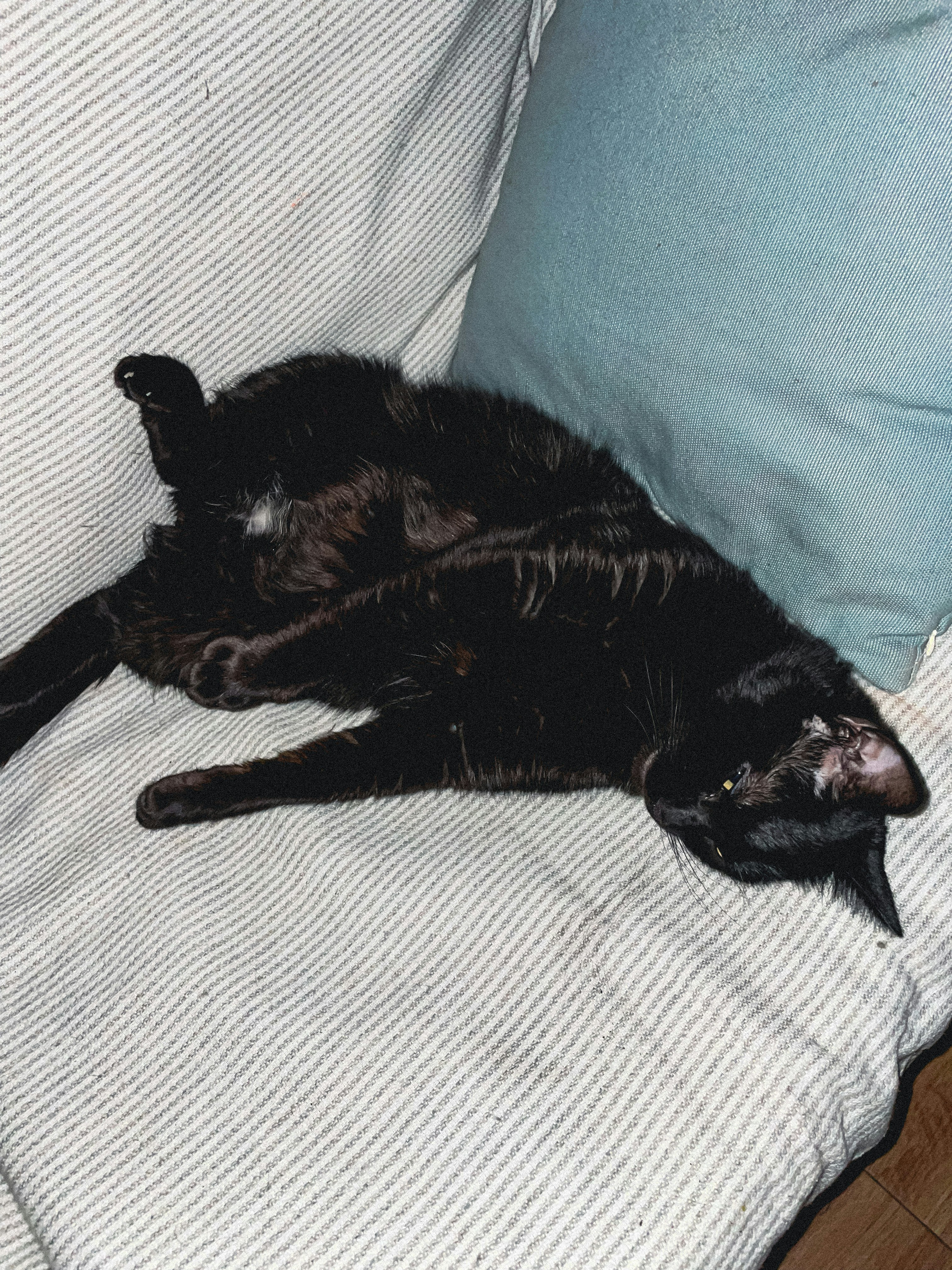 Go to miguelitopamplenas's profile