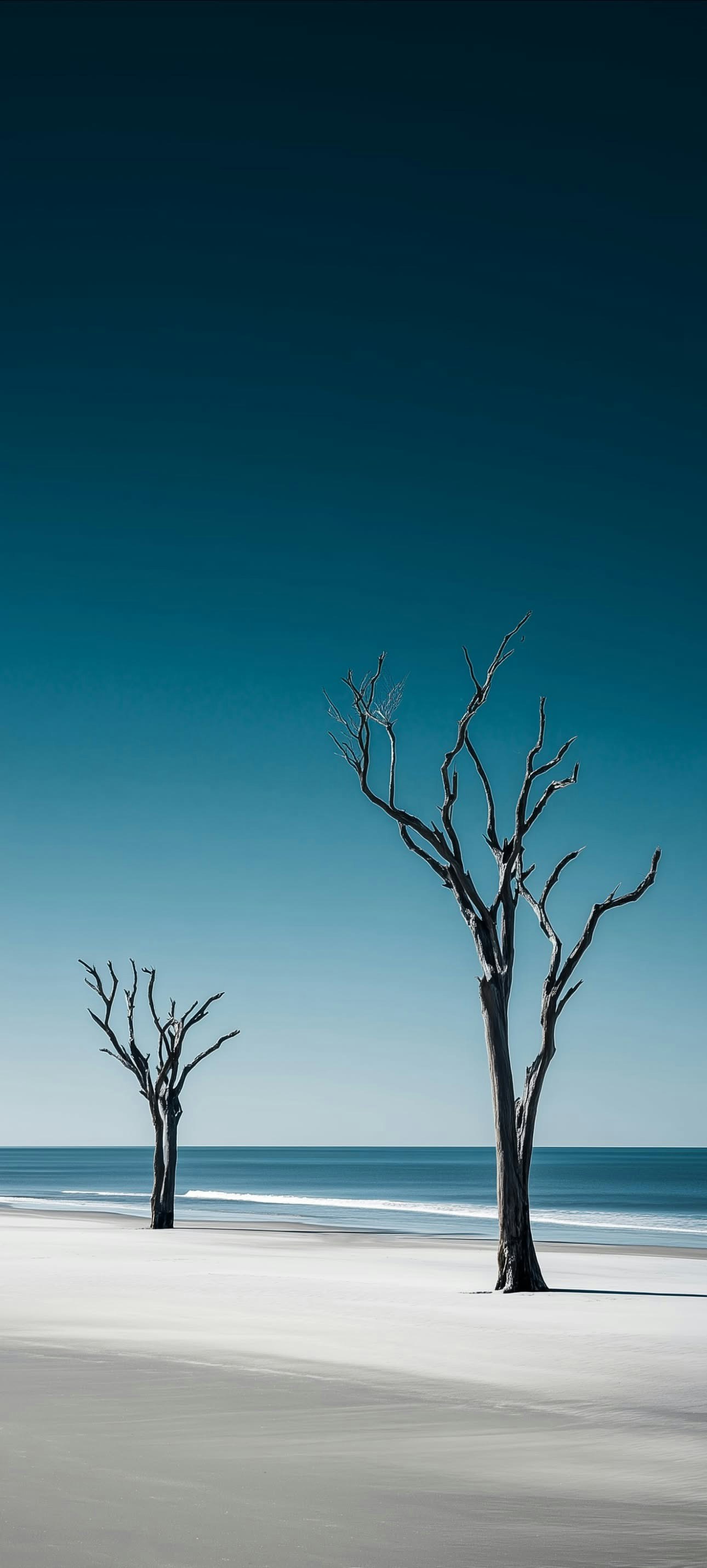 Go to Sierra Alpha Juliet's profile