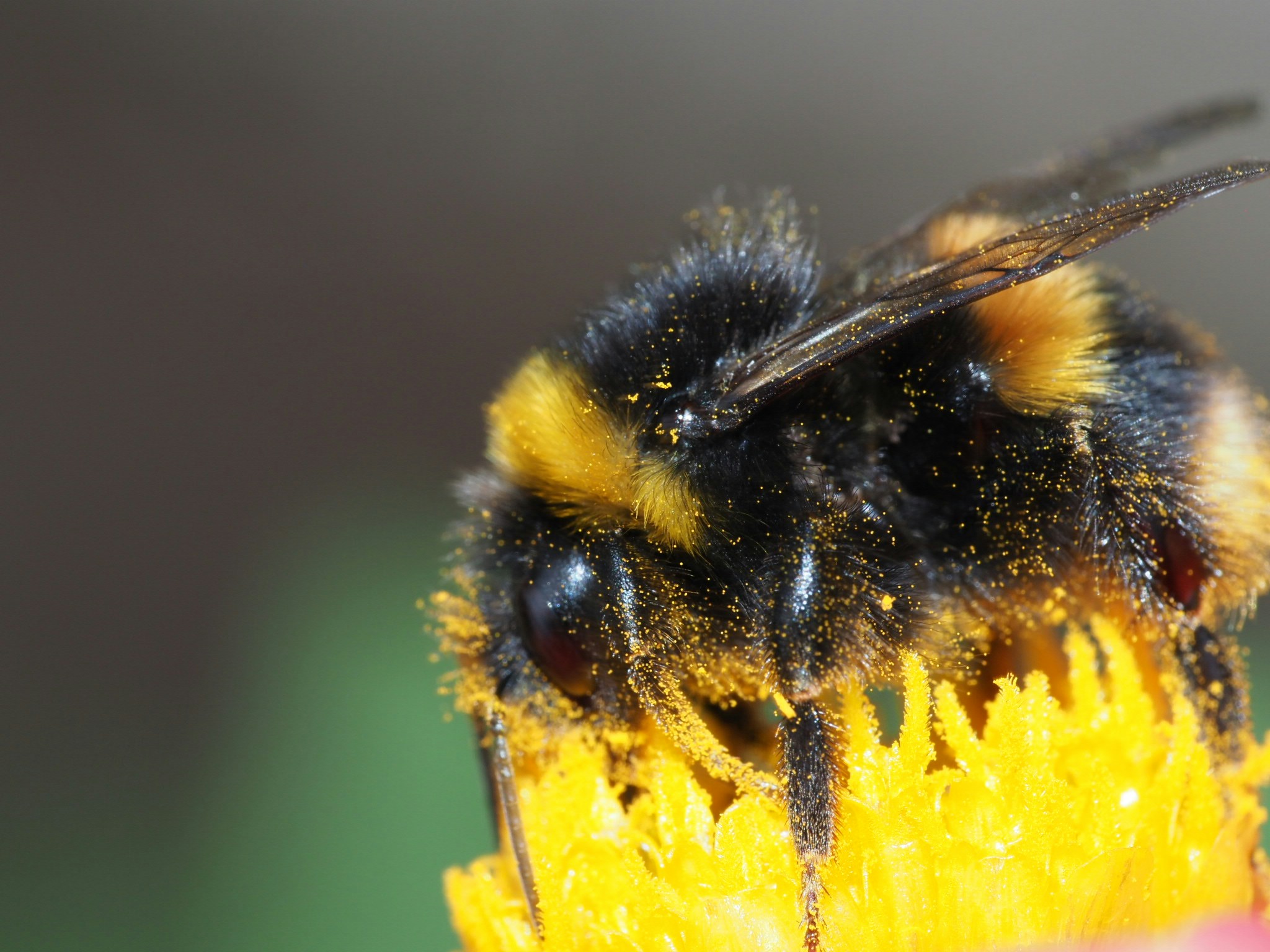 Go to Charlotte Kirkland's profile