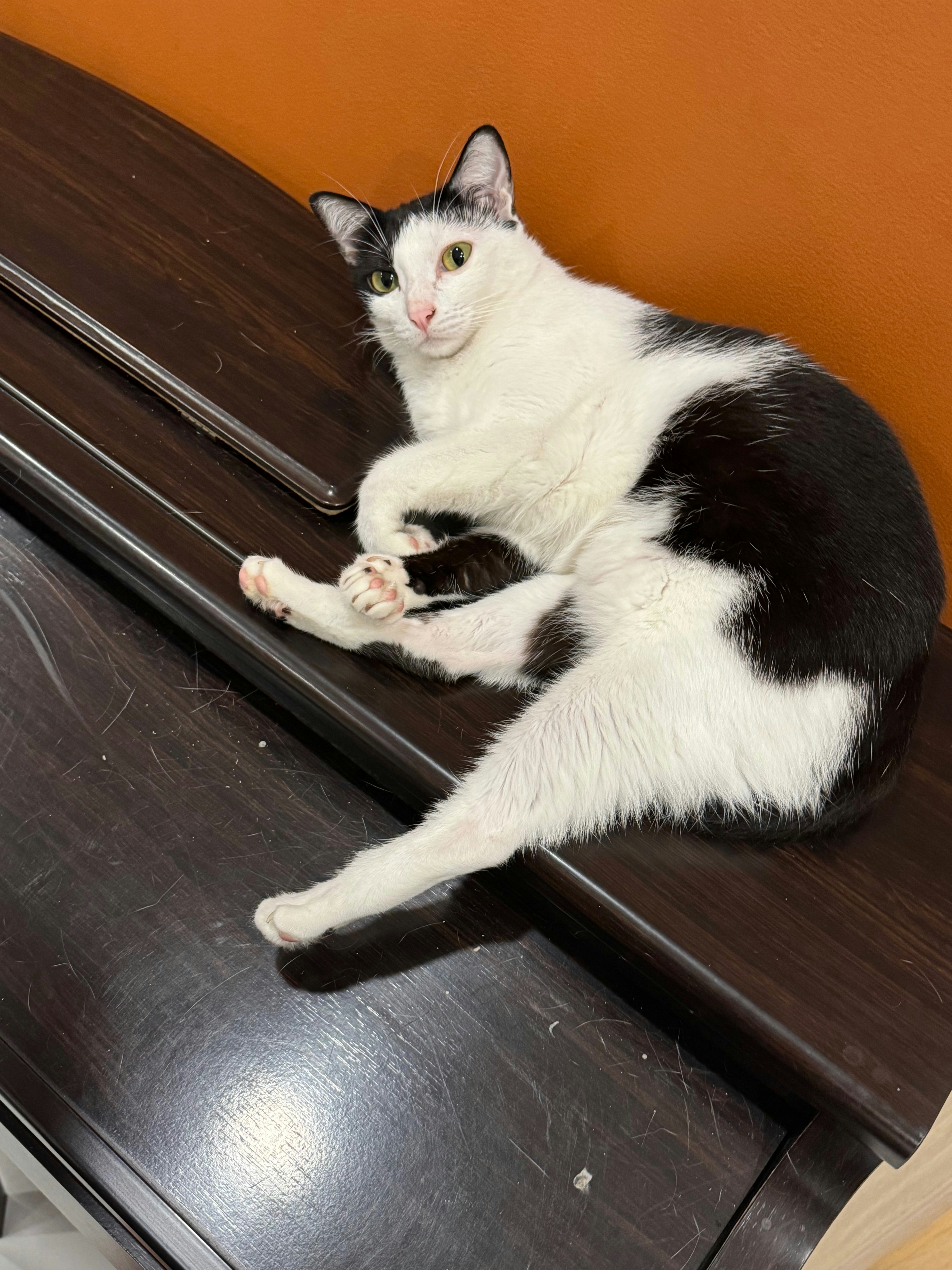 Accéder au profil de Nhi Ly