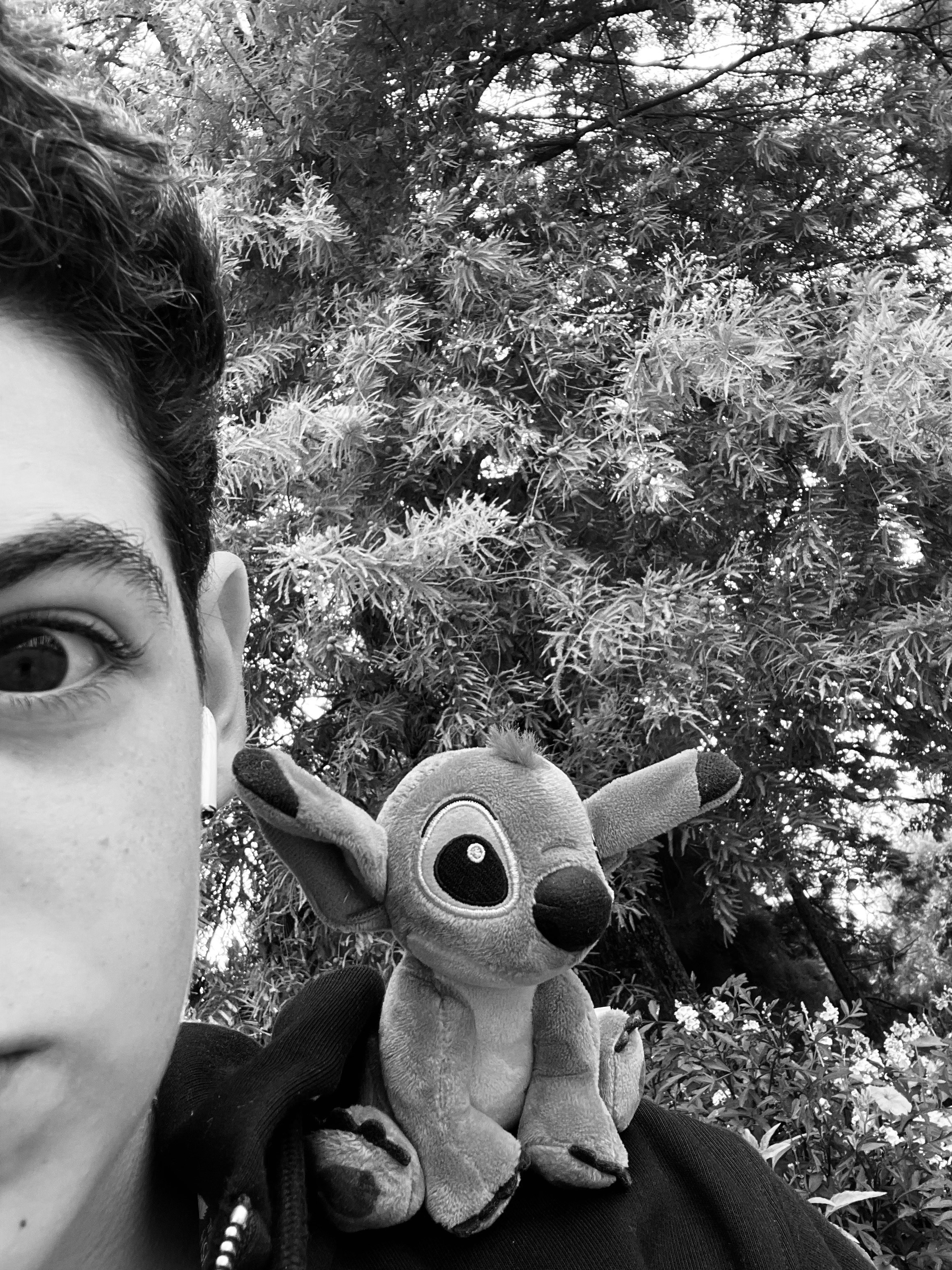 Accéder au profil de thanassis lemo