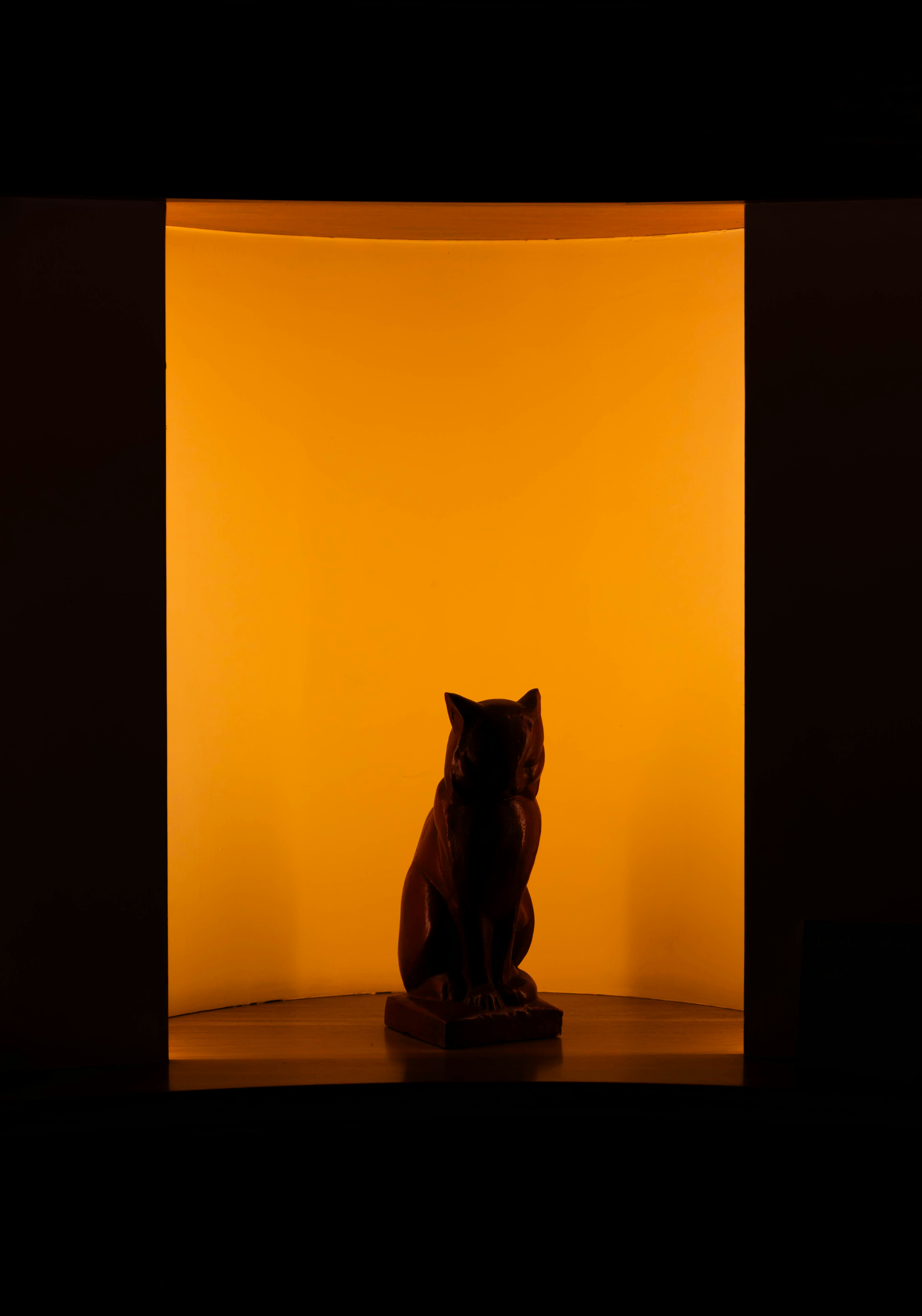 Go to FELIXFELIX FELIX's profile