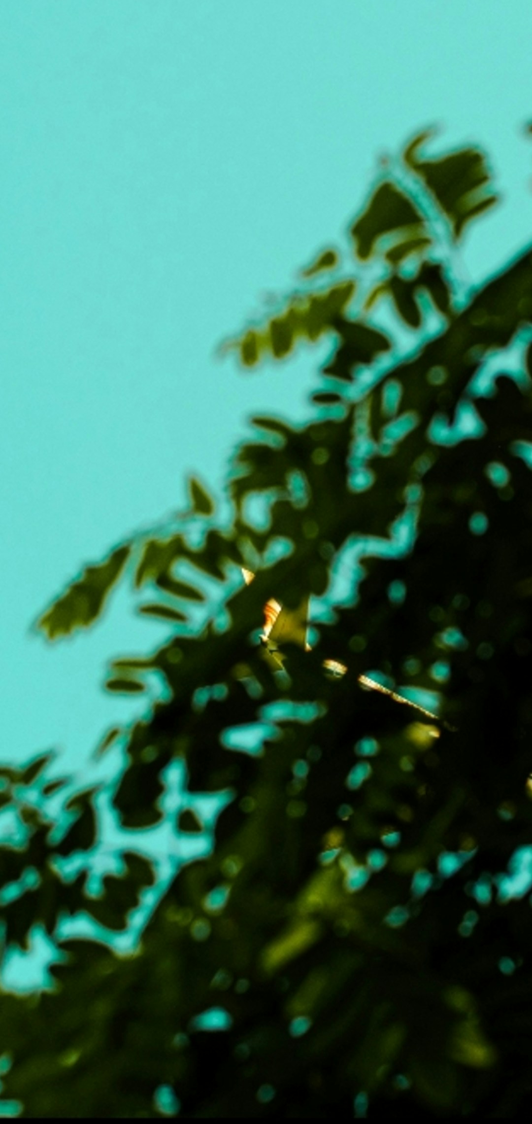 Go to since 2008's profile