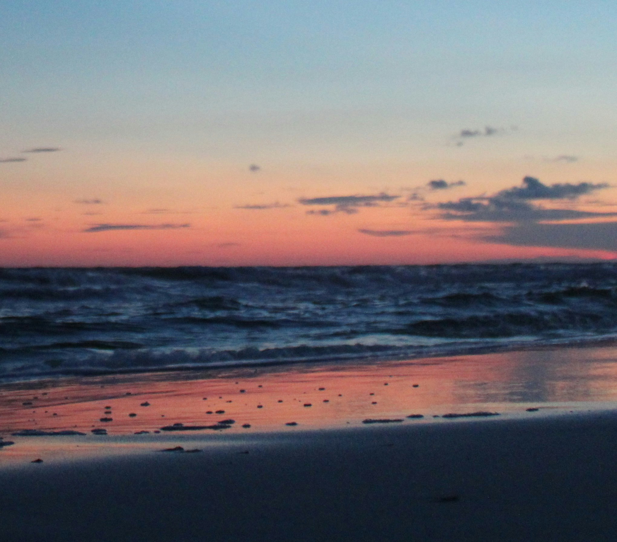 Zum Profil von Ace King