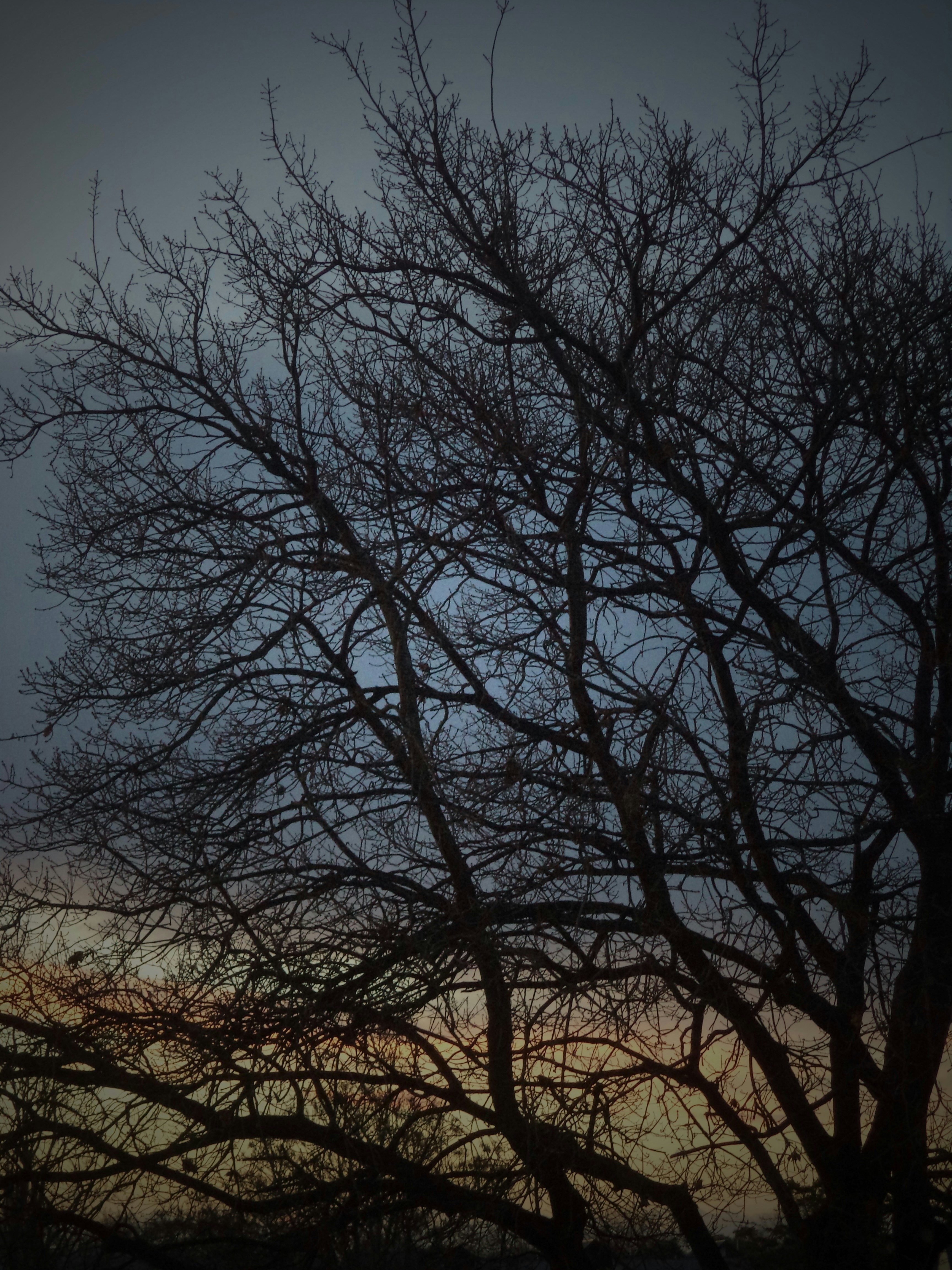 Vai al profilo di Junpire Nguyen