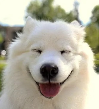 Go to Christopher Lam's profile