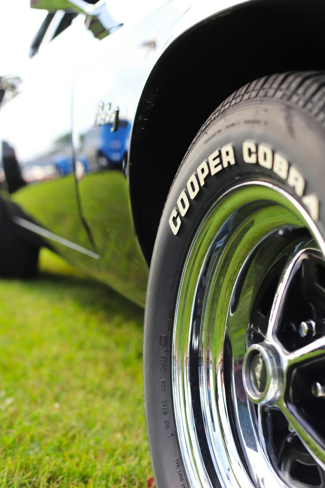 Avatar of user Jenny J