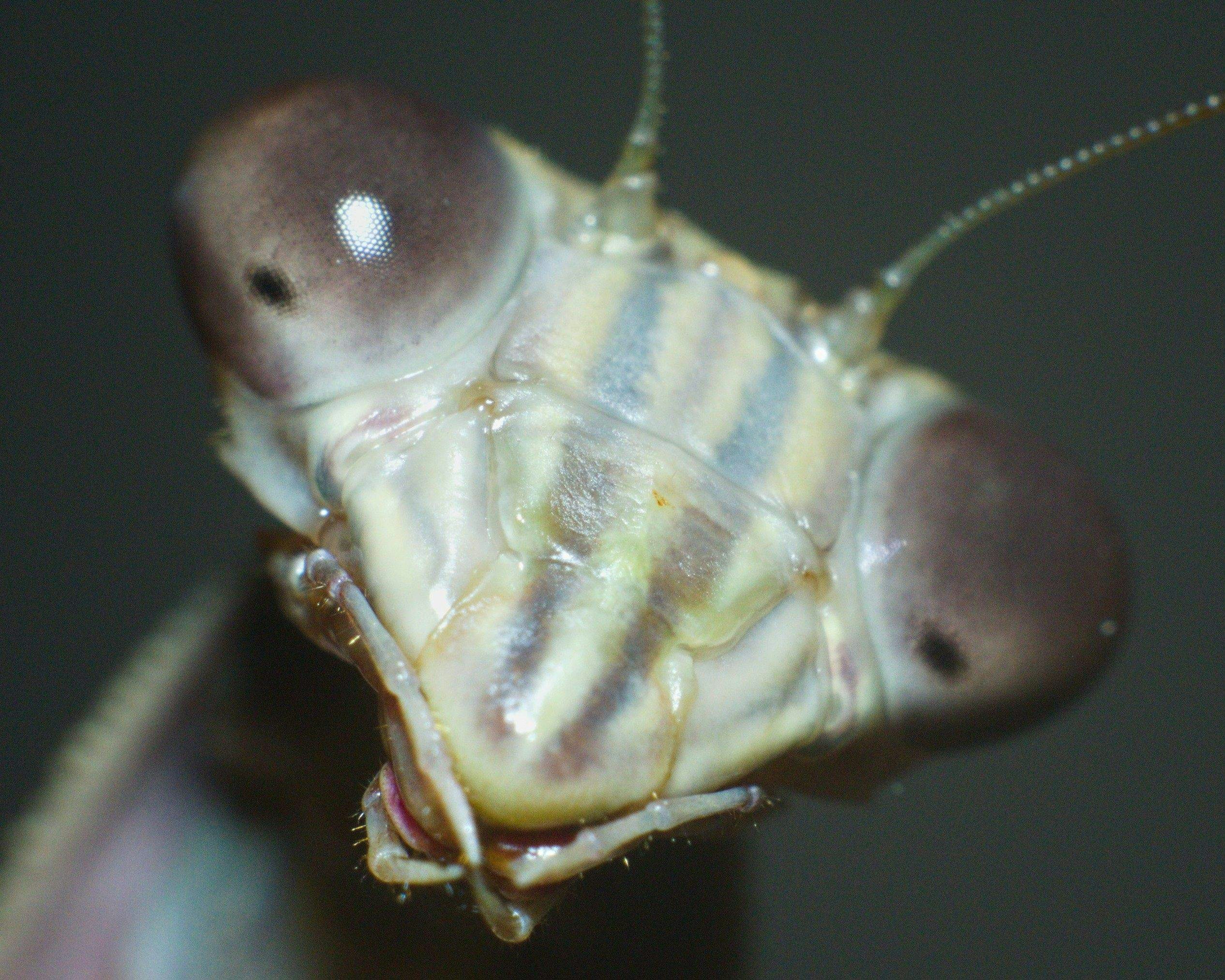 Go to Richard Rivas's profile