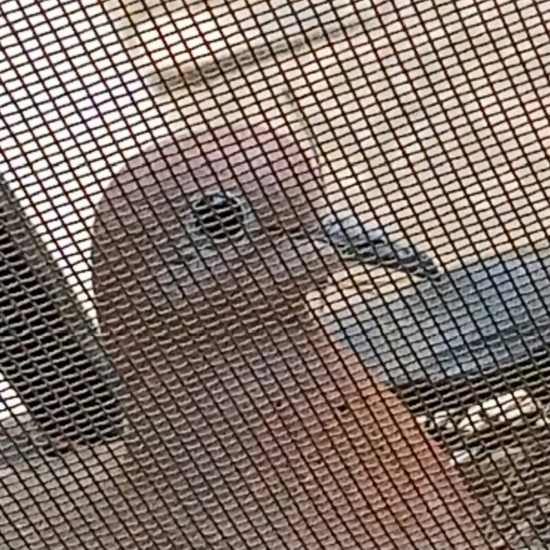 Go to Meryem Kiremitçi's profile