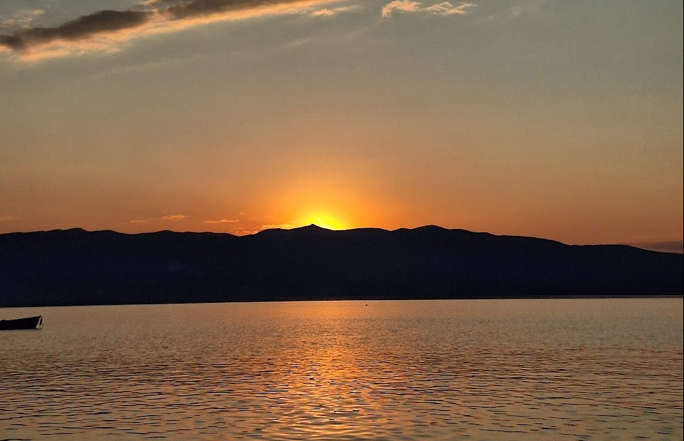 Zum Profil von Tomi Adamchevski