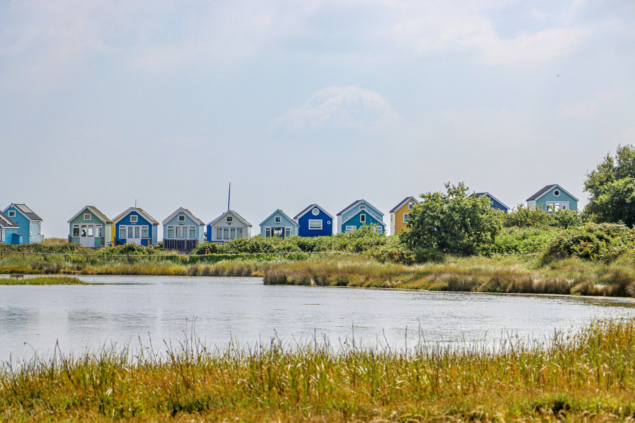 Zum Profil von Kamsin Kaneko