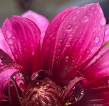 Ve al perfil de Naomi Harvey