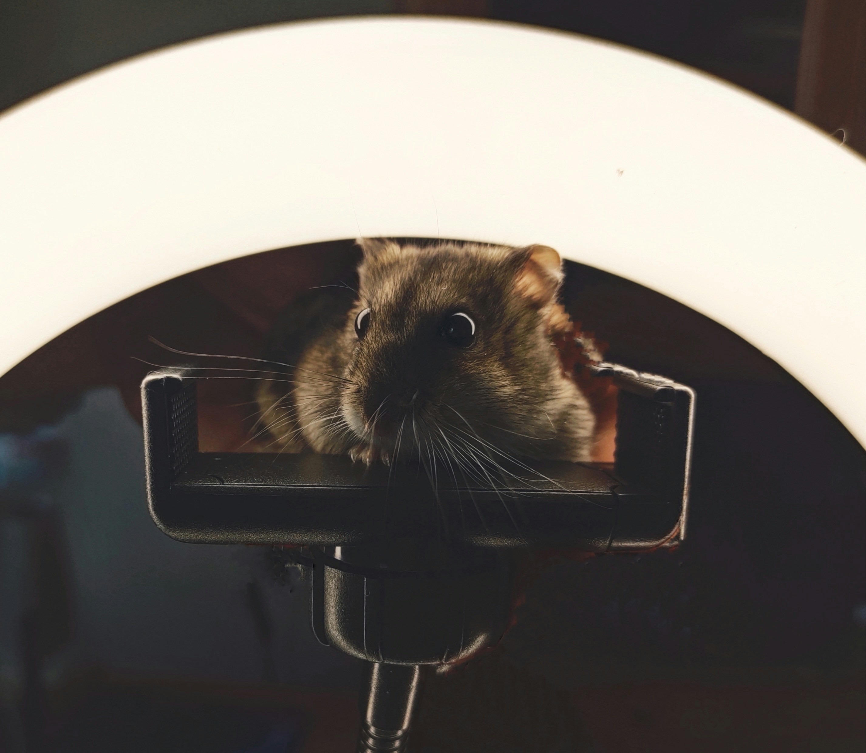 Go to Ruslan Zaikin's profile