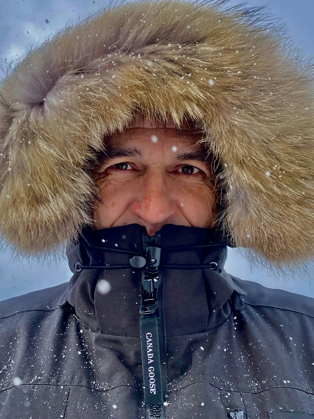 Go to Klaus Schneider's profile