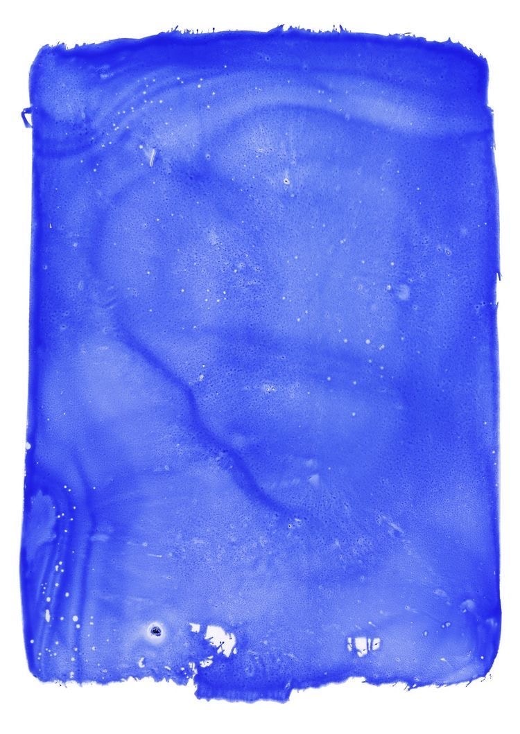 Avatar of user Anastasija Puskas