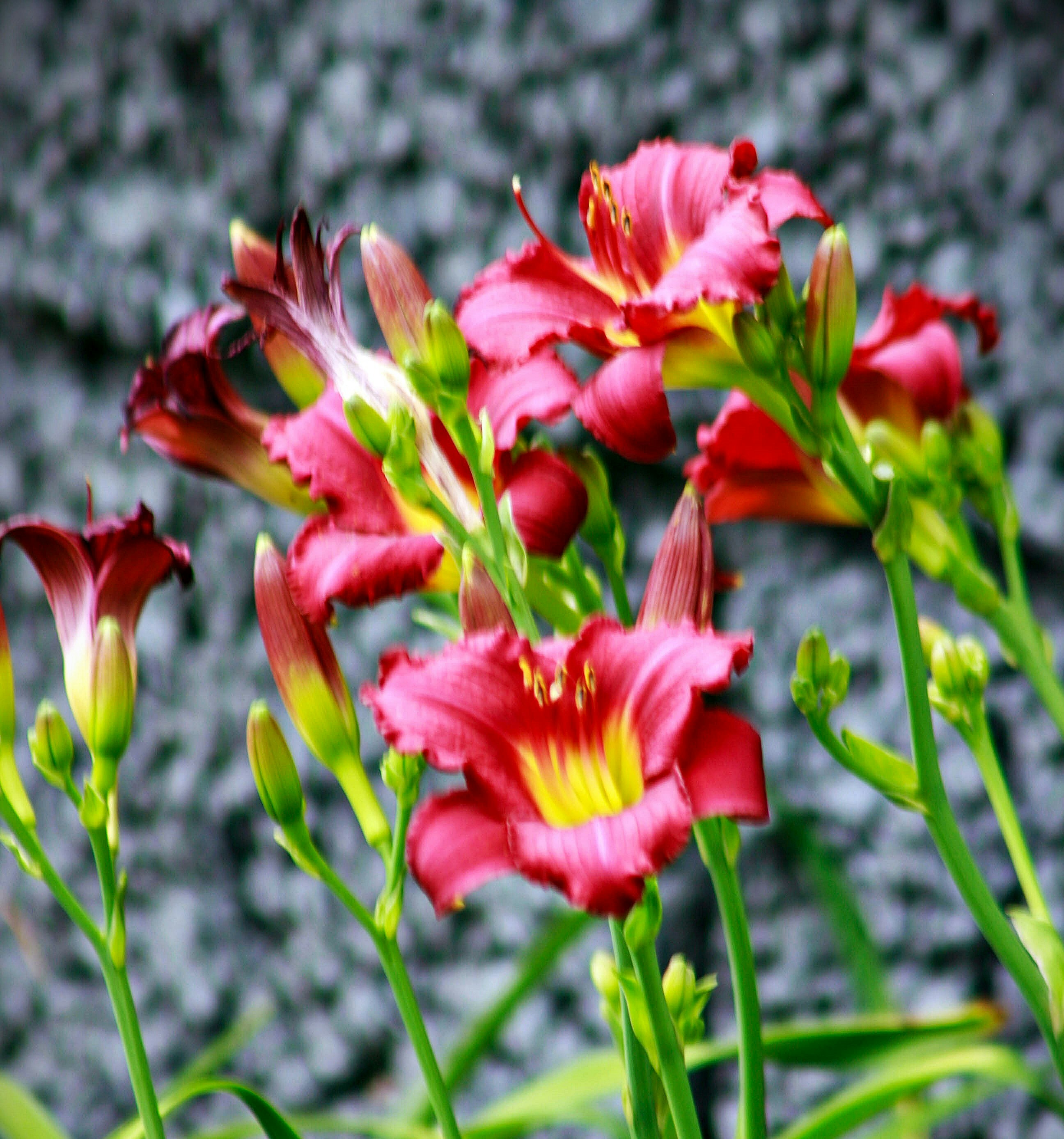 Go to SM Rodriguez's profile