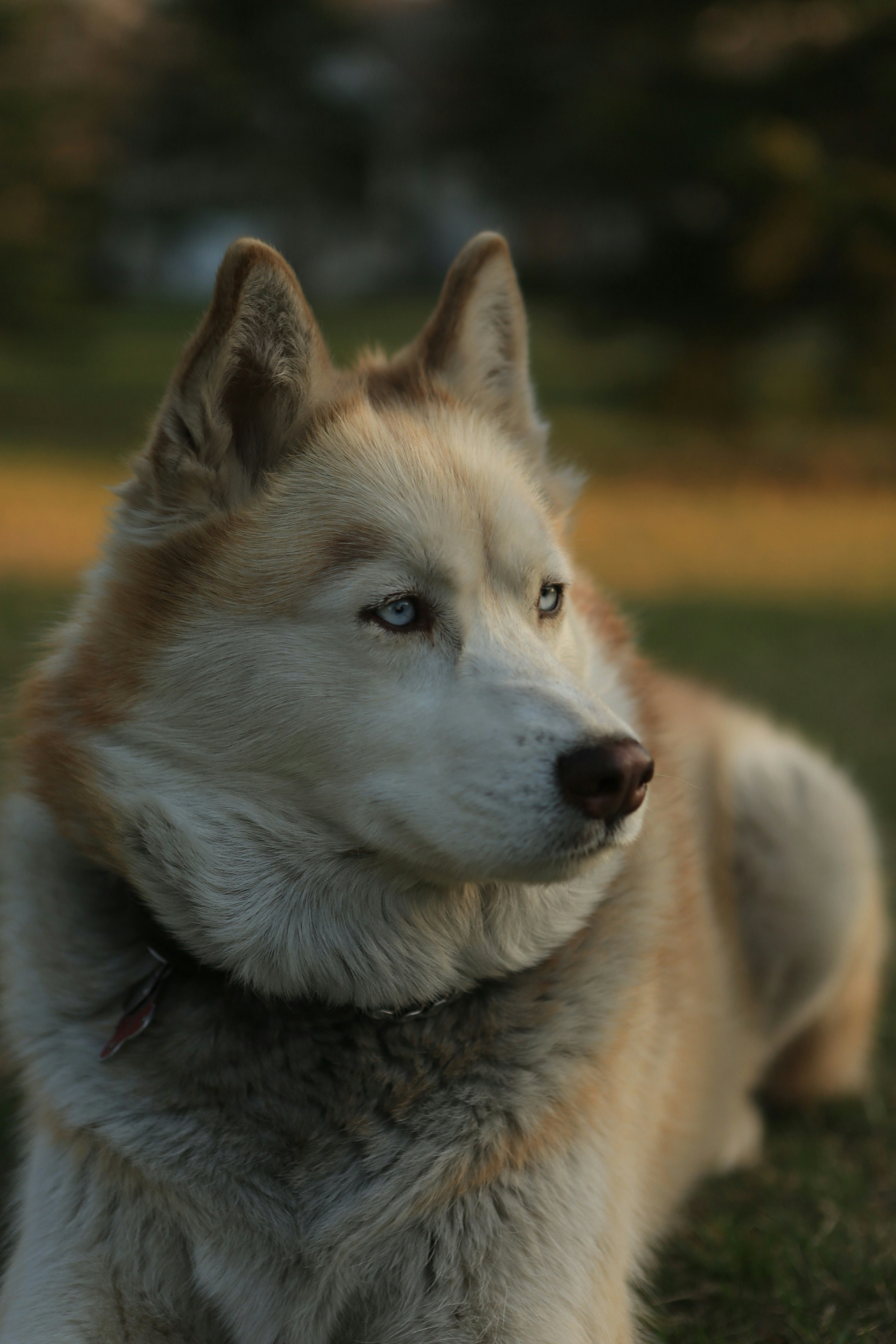 Zum Profil von Miguel luiz Tinoco